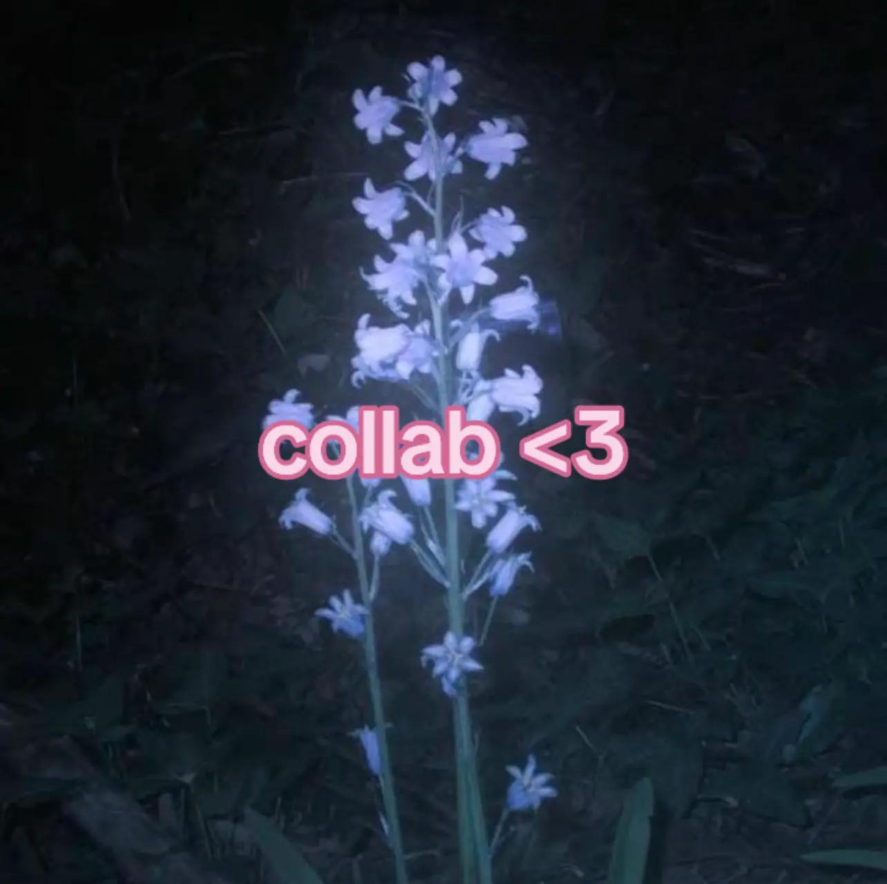 @ྀི✩˖𝓛𝓮𝓸🆖️⋆ྀི