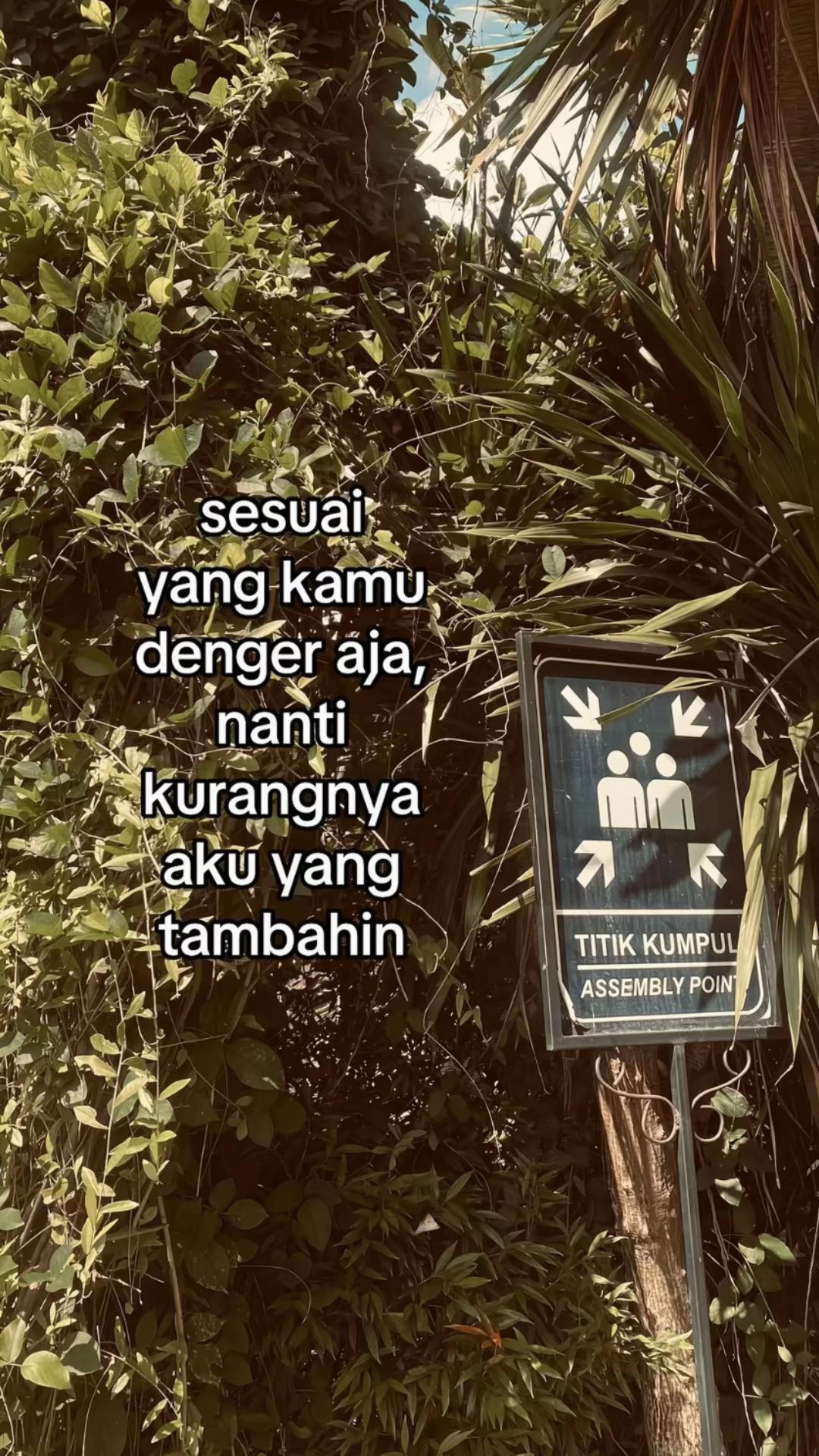 @shiineylaa