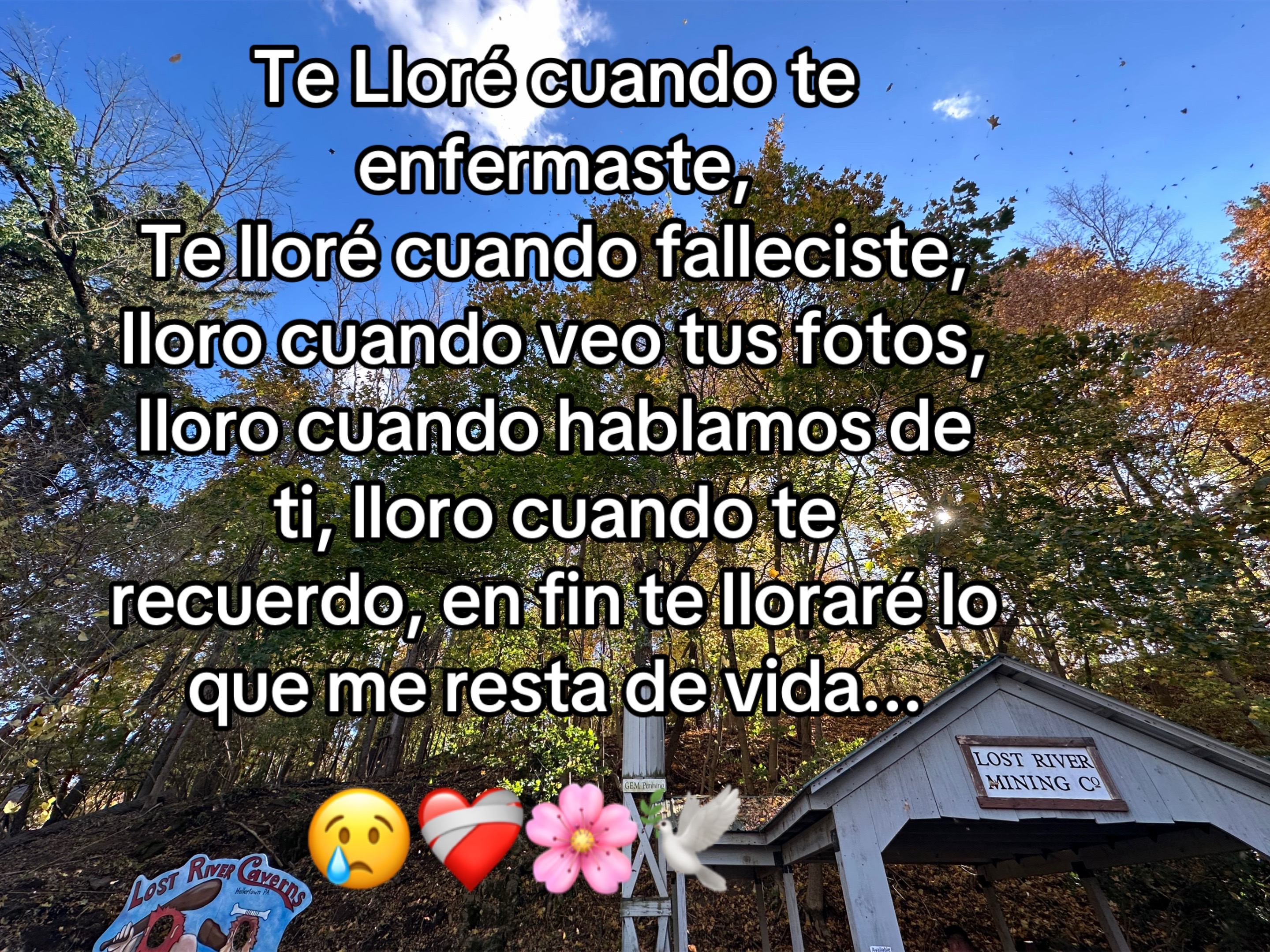 @Ary