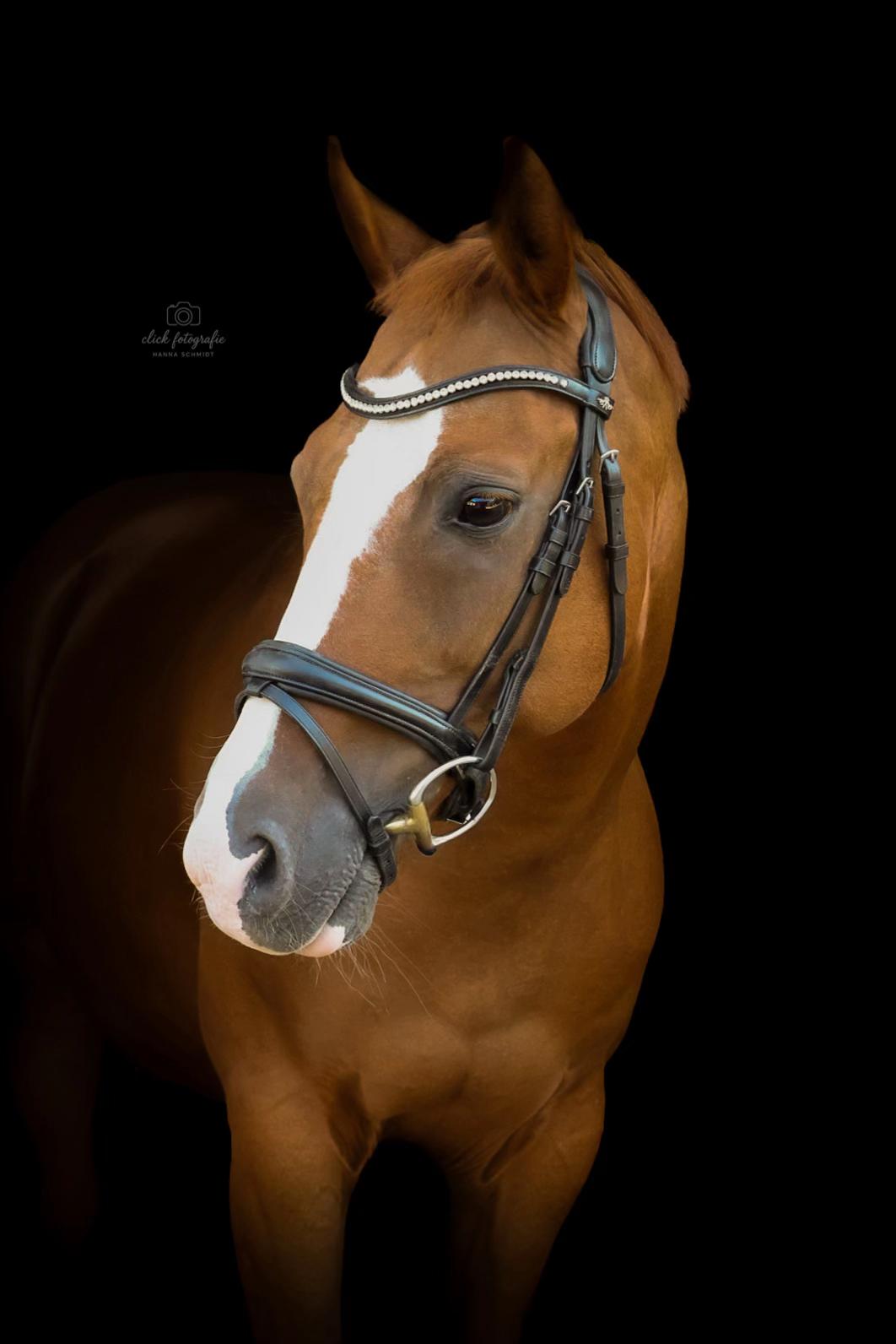 @Click Fotografie 💗✨