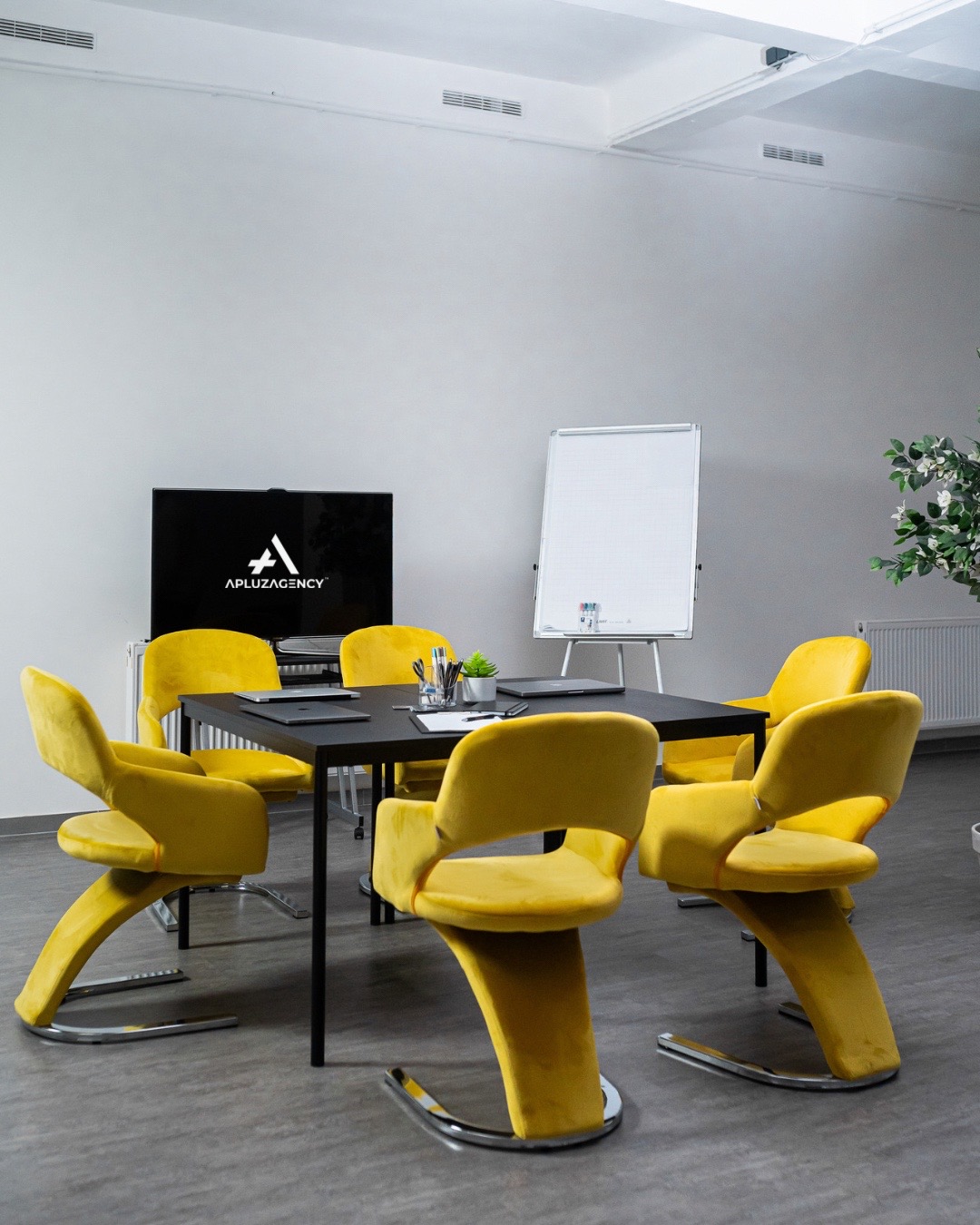 @Apluz Agency