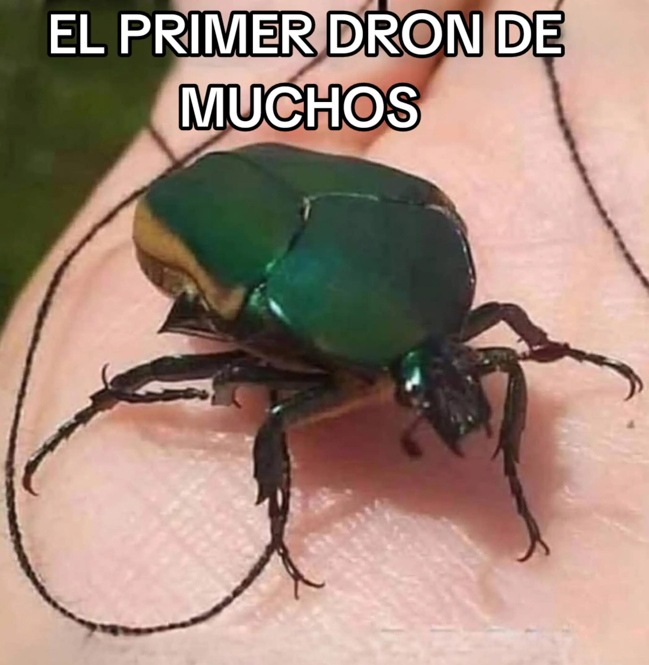 @mary