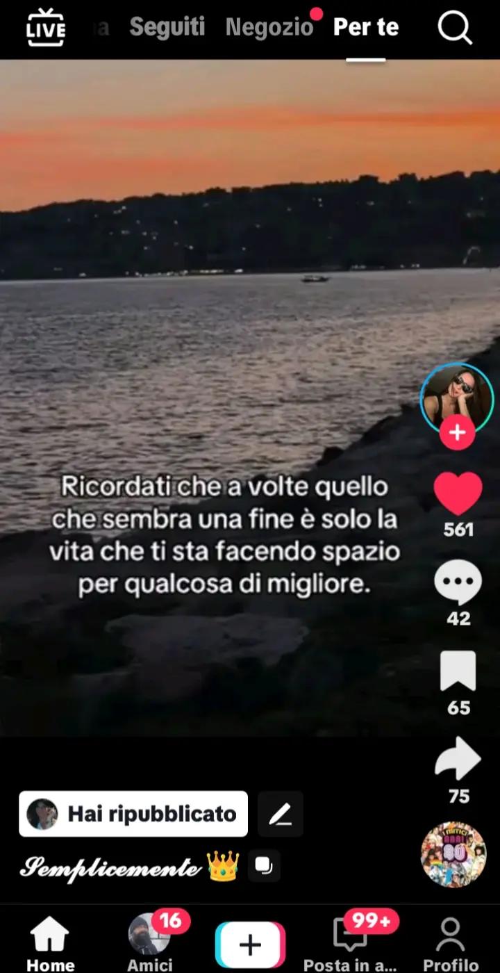 @soniapanetta445 sonietta
