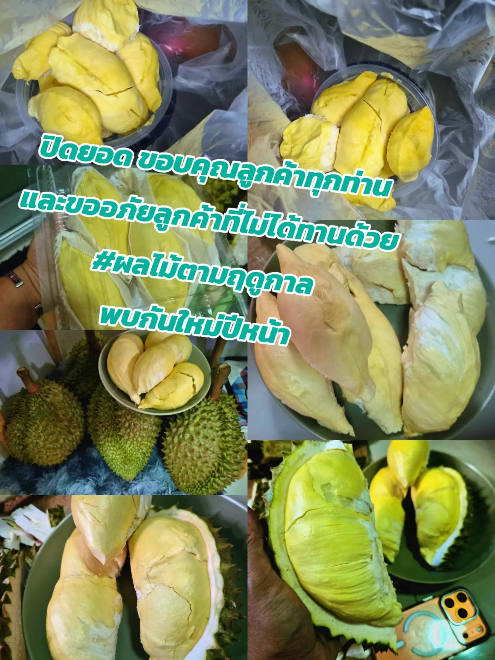 @พ่อค้าหมีหมี
