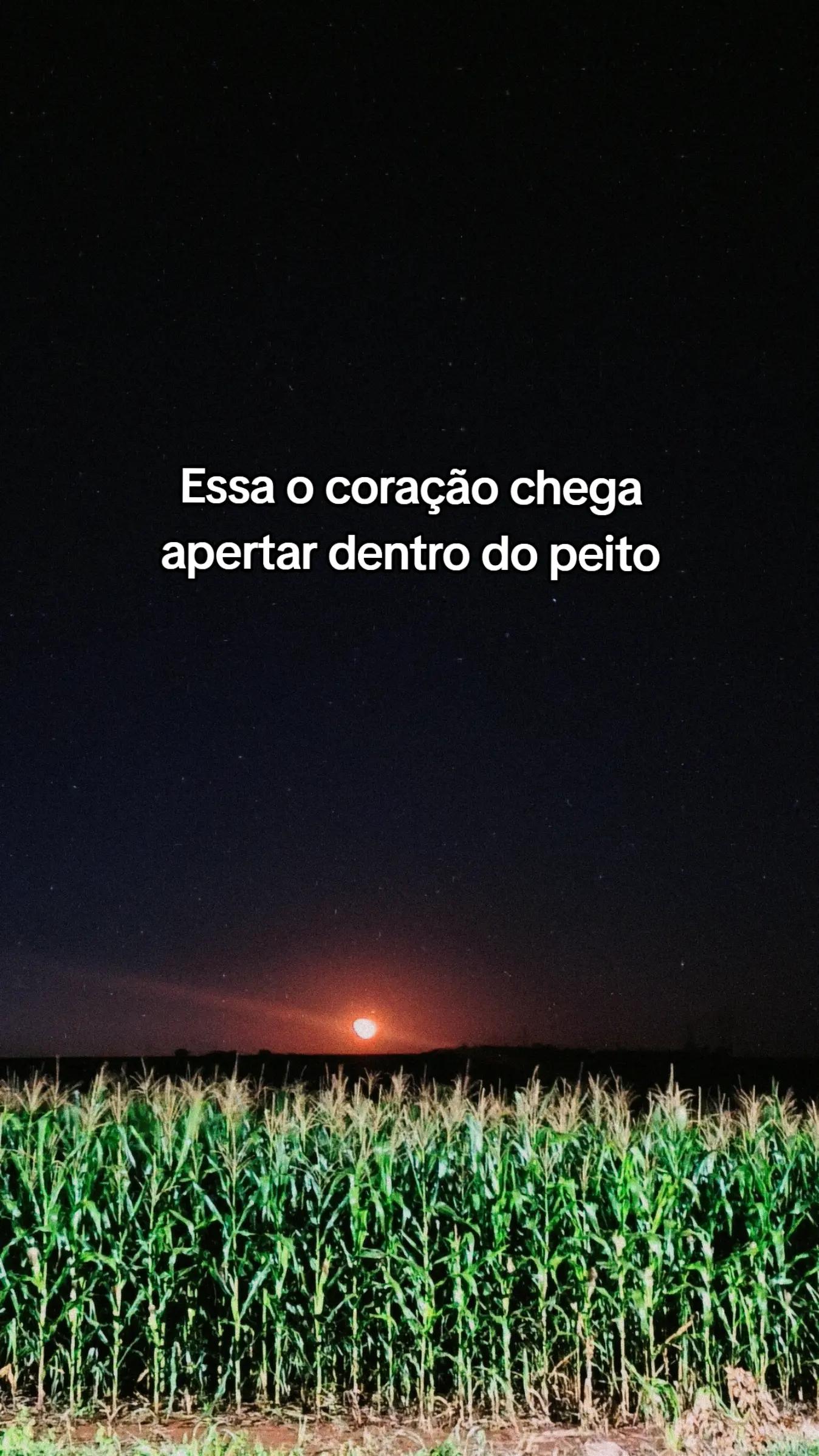 @Douglas_Camello