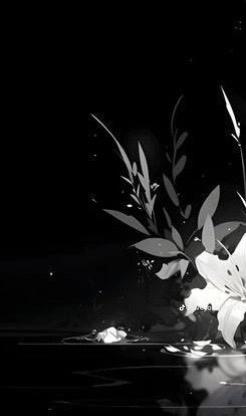 @꒰ঌ𝐂ruor┆𝓣ime shadow's ♯❶fan!