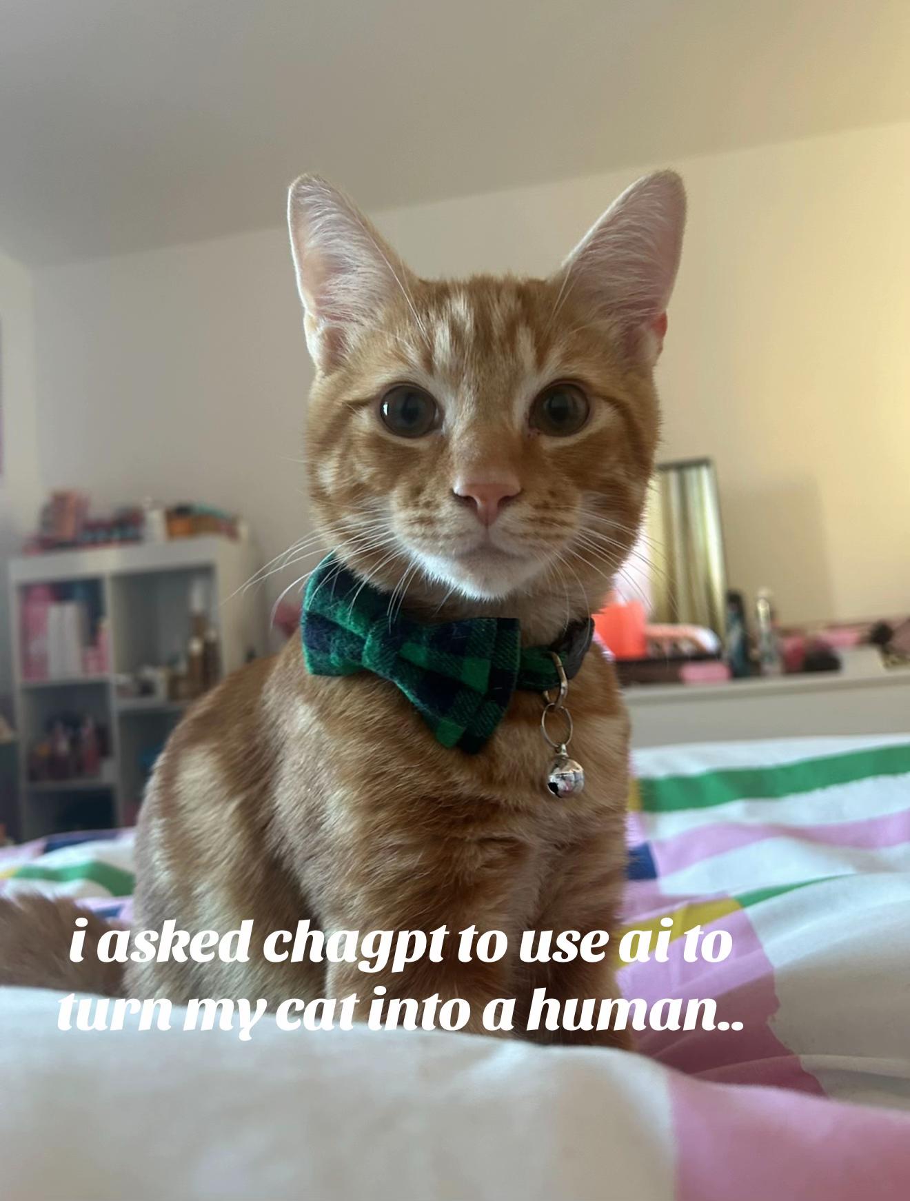 @Nacho&Bagel 🐈🐆