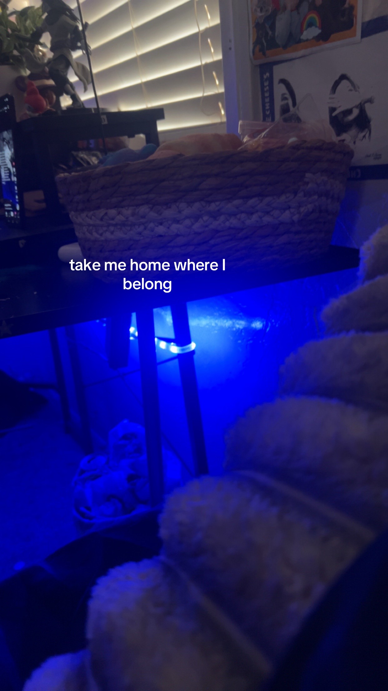 @꧁𝖍𝖆𝖎𝖑𝖎𝖊꧂