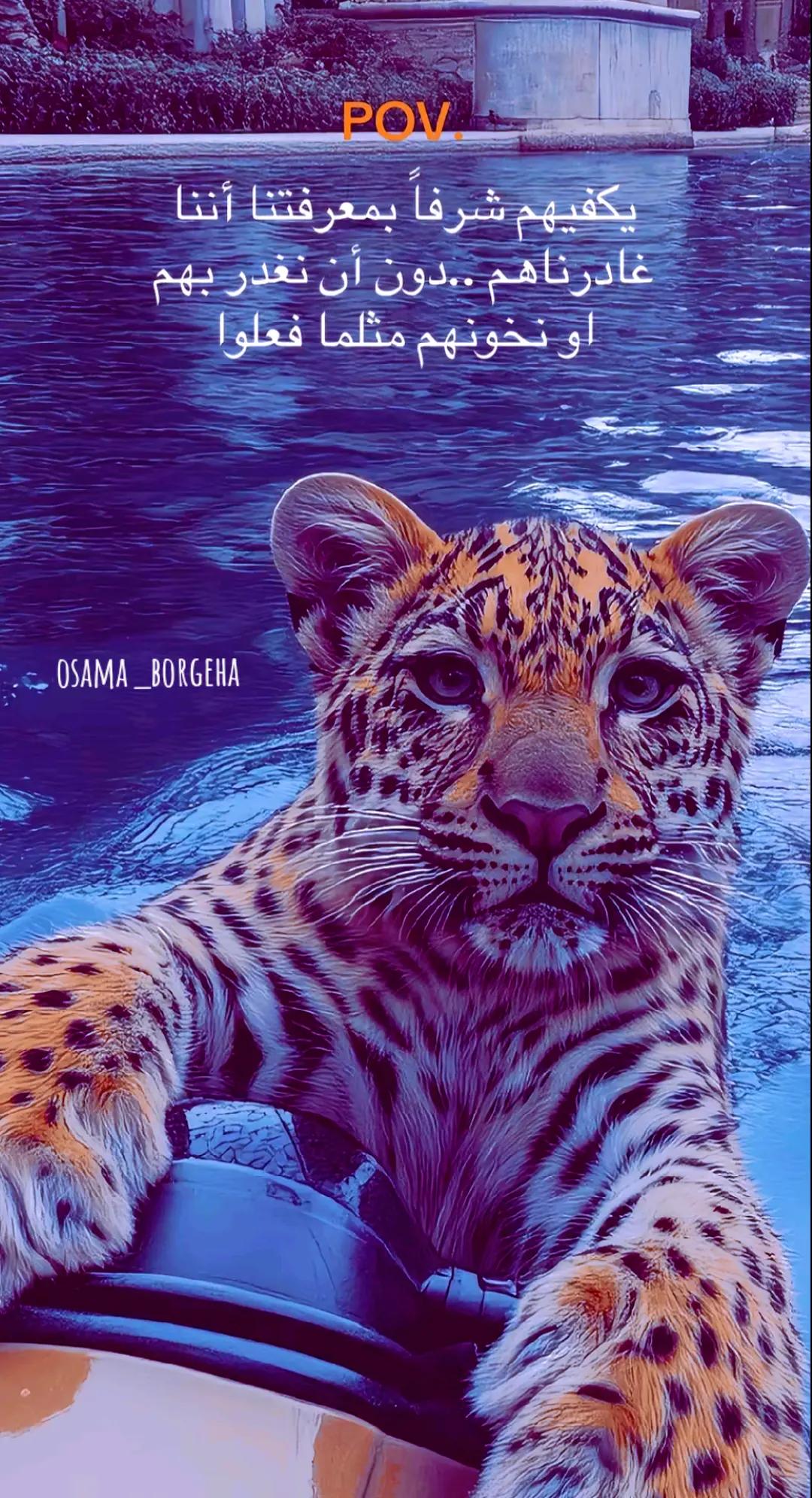 @أُسامه بورقيعة (Costa) 💚