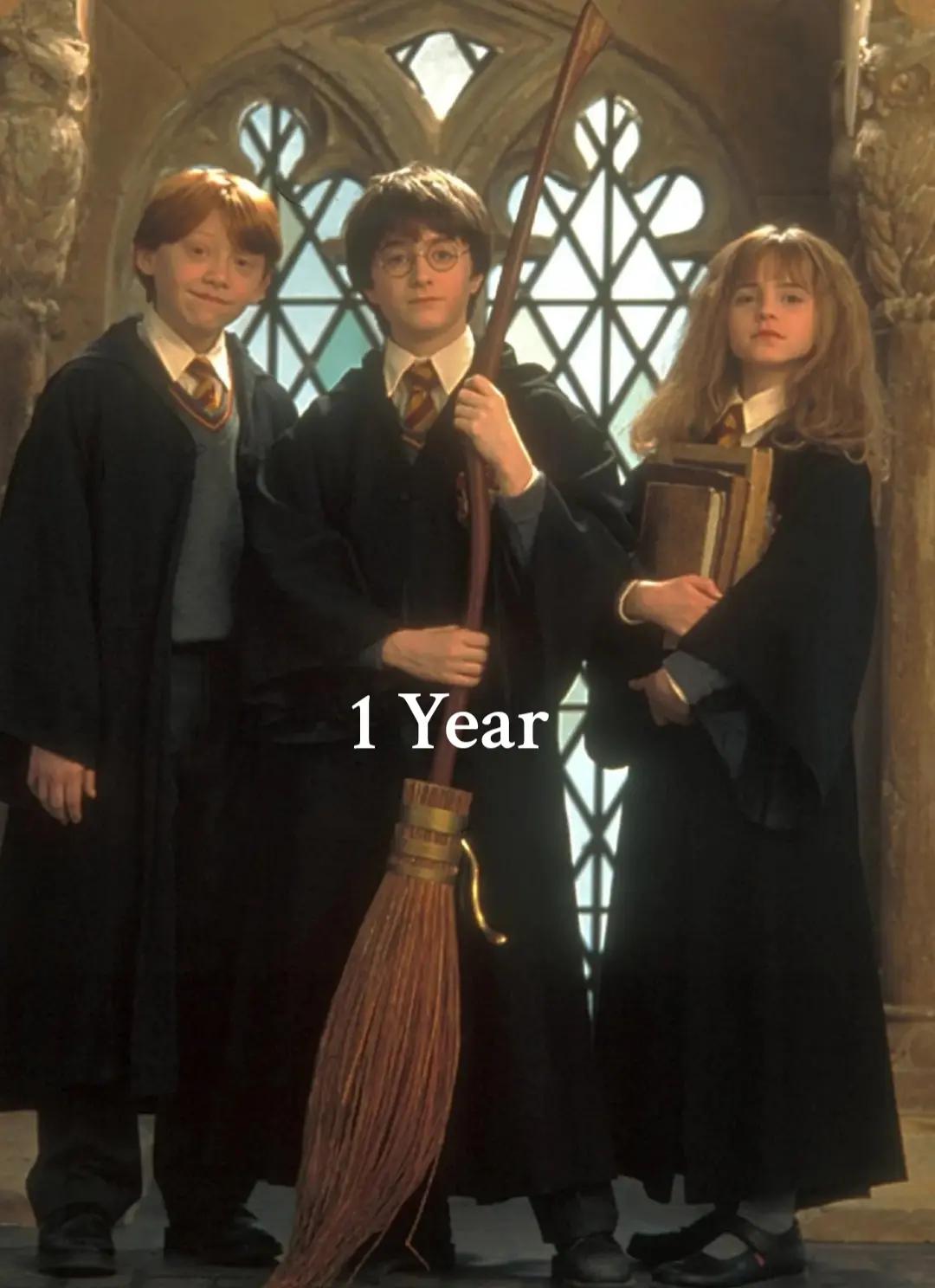 @harrypotterfan8507