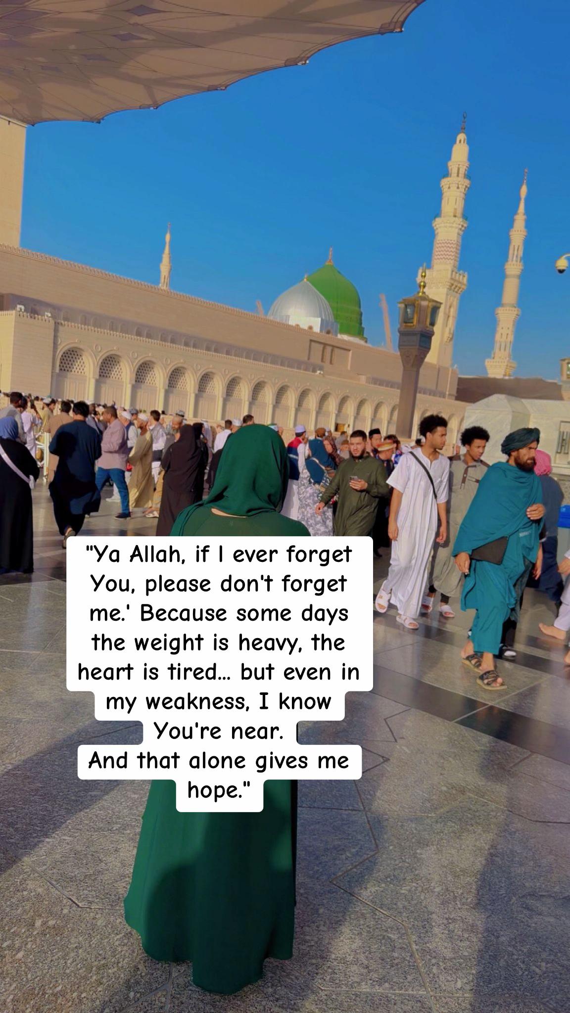 @Aisha 🇵🇸🍉🇵🇸