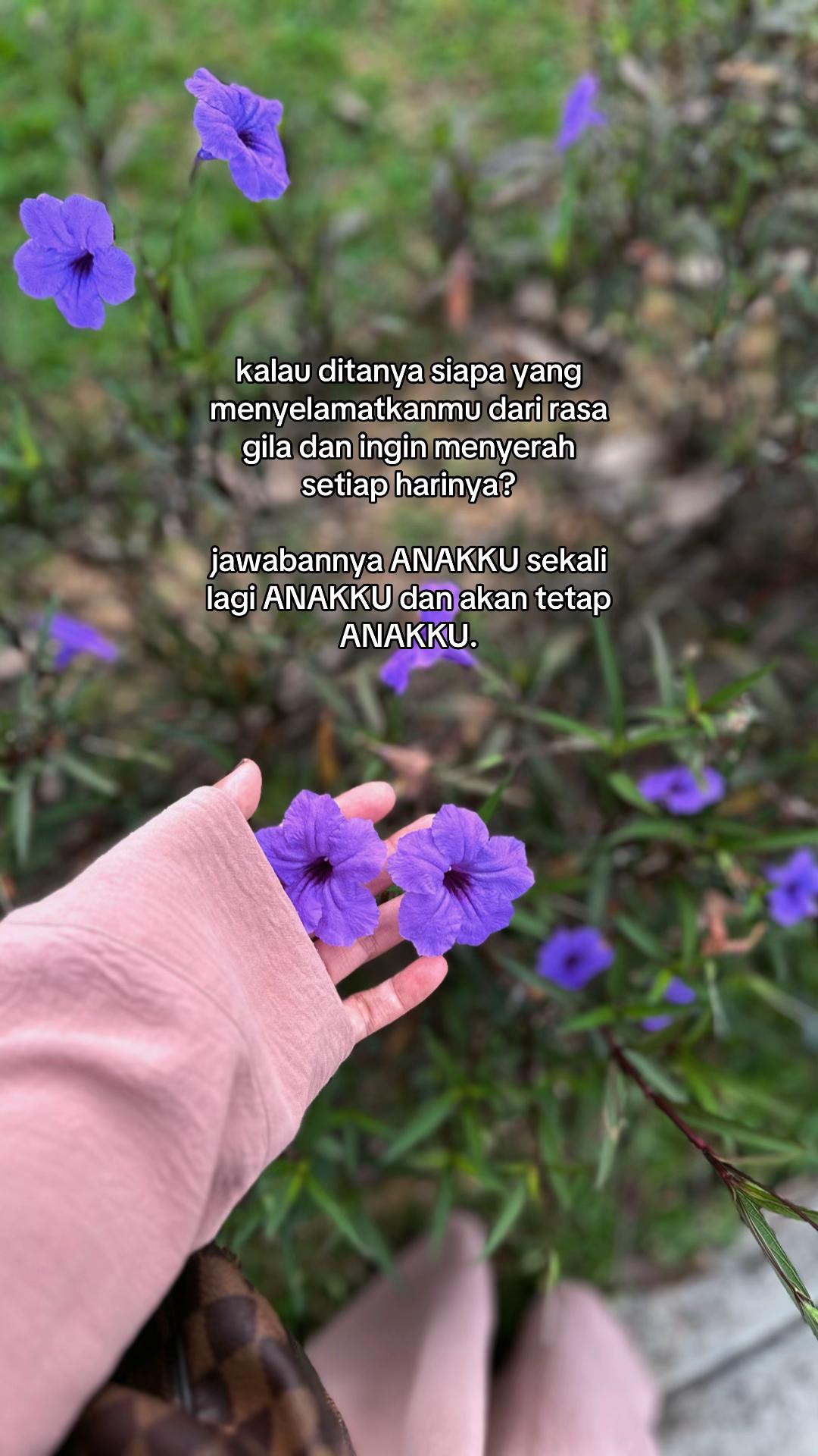 @Dewie Sam🌷