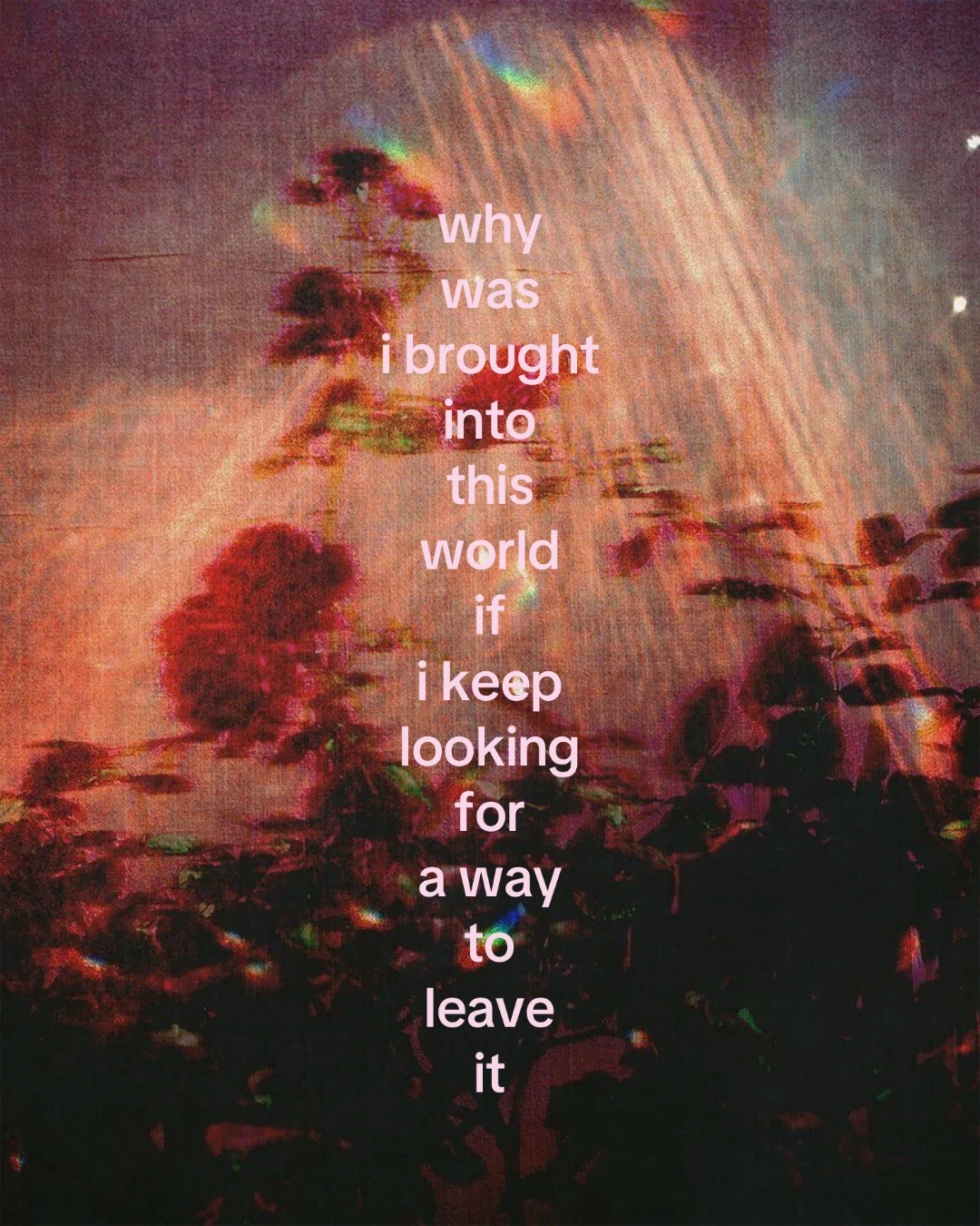 @sophia ruby