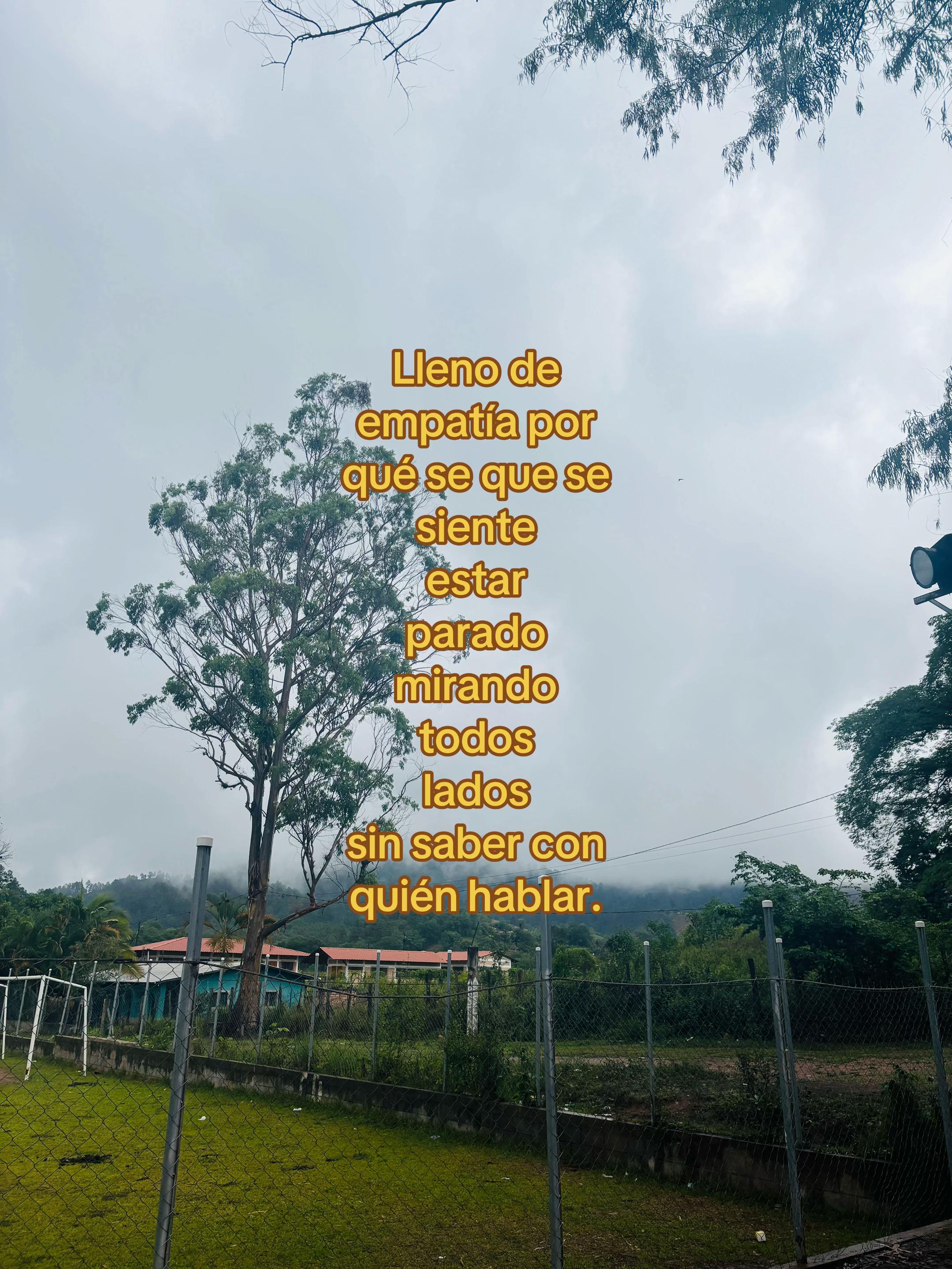 @Enmanuel !&iexcl;💚