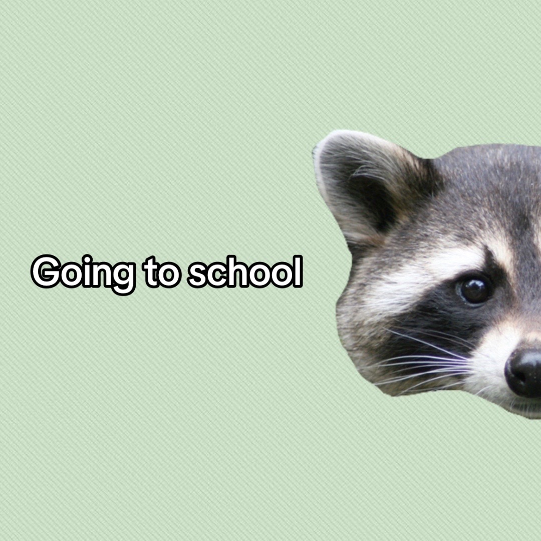 @Gavin
