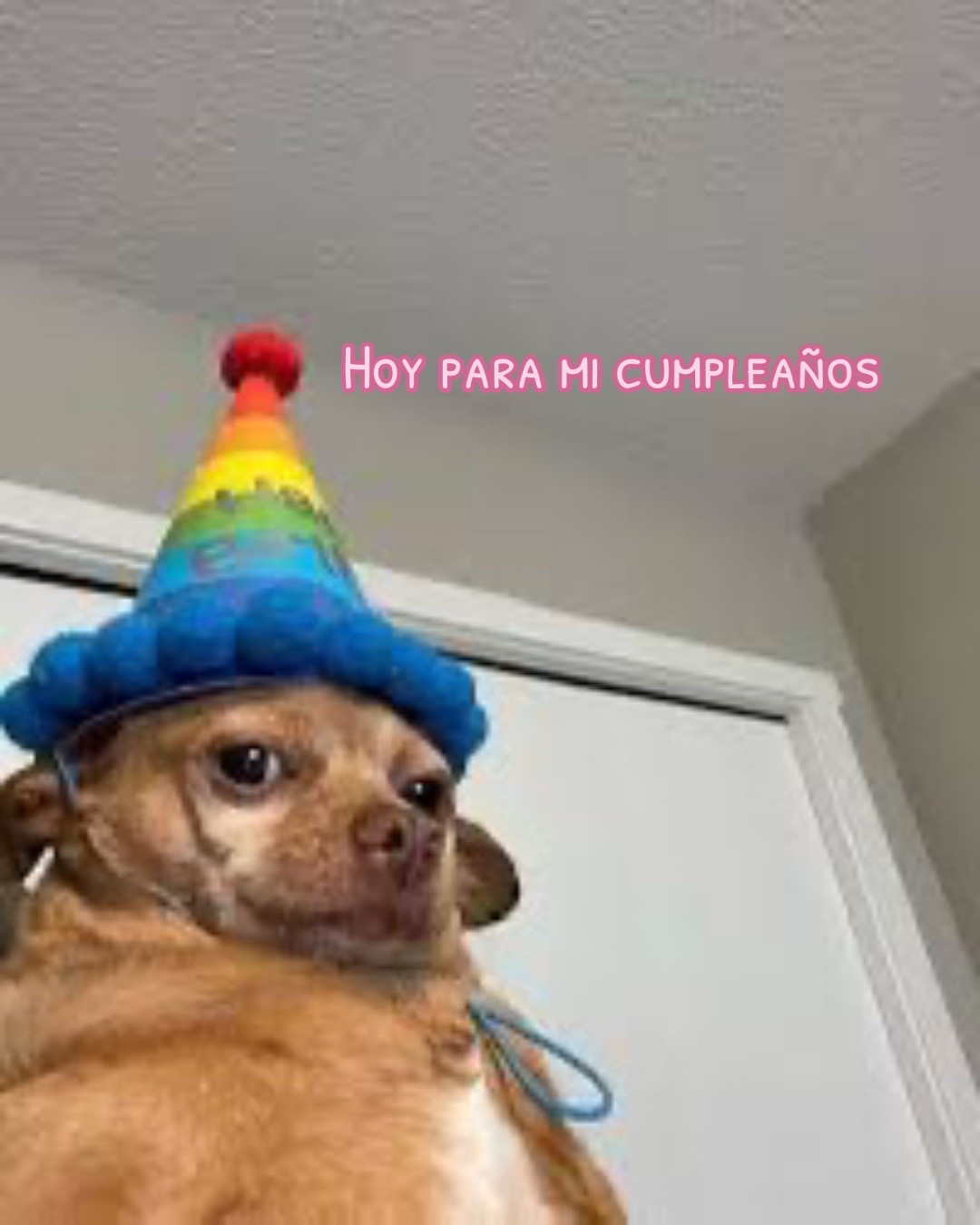 @777SunnyGirl