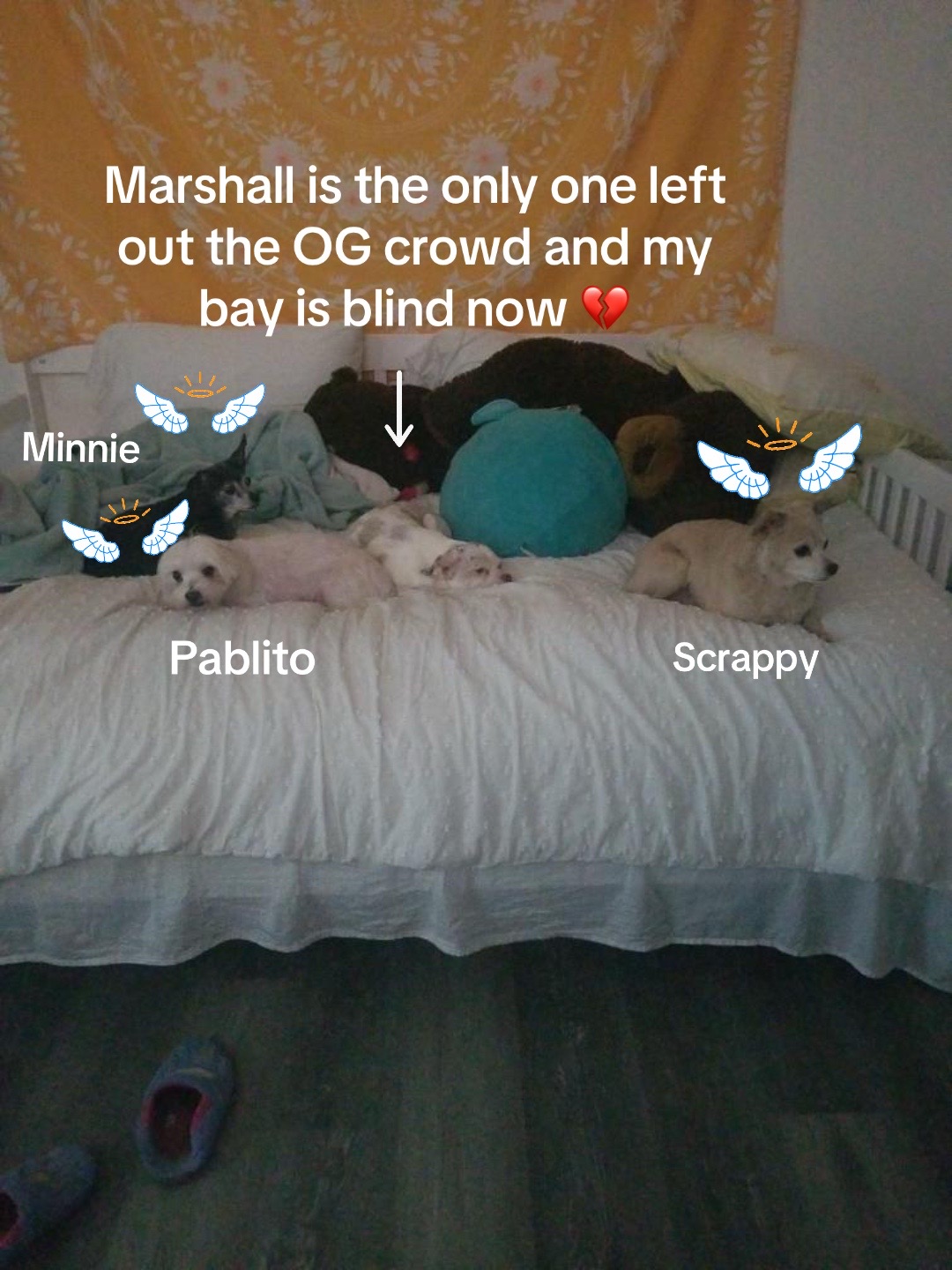 @🕊️ Listo&rsquo;s Mom For Ever 🕊️