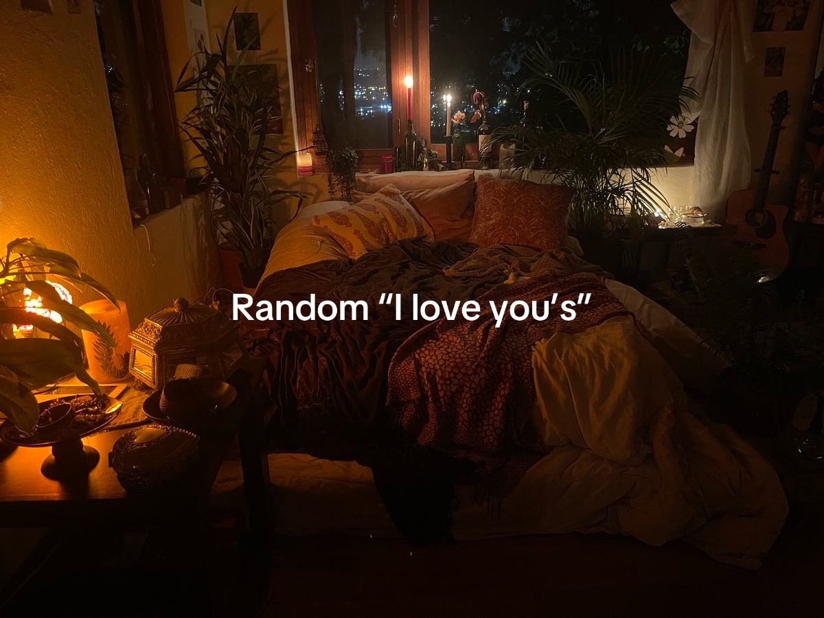 @vananir0