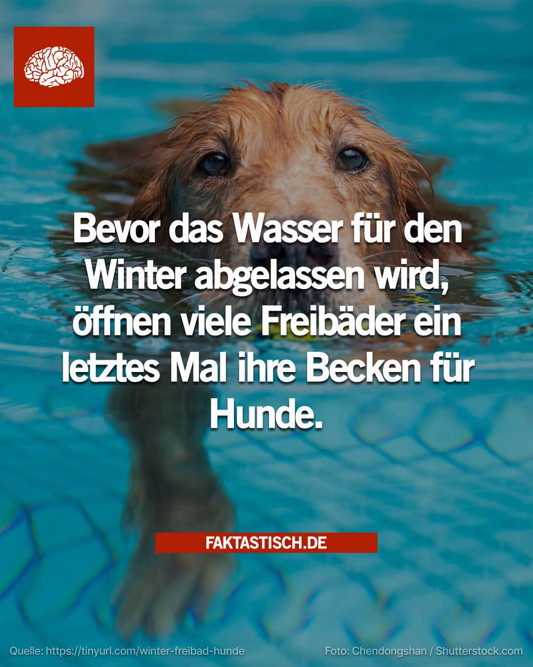 @Faktastisch