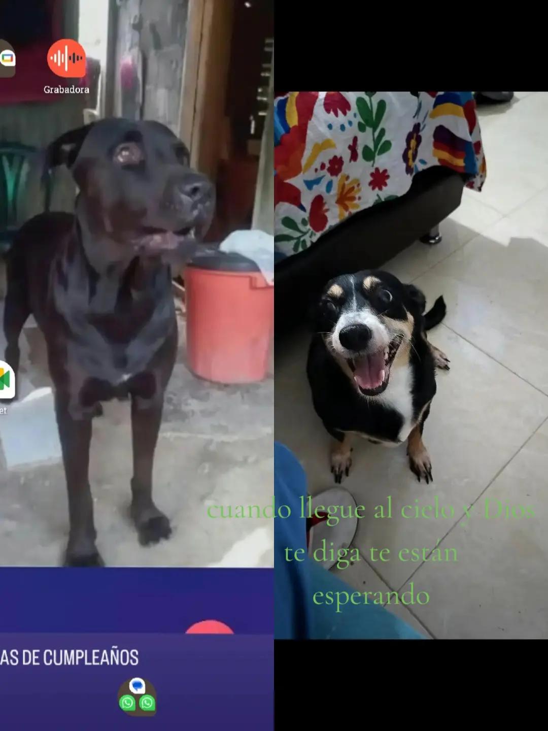 @Jhon greys Hern&aacute;ndez hernandez