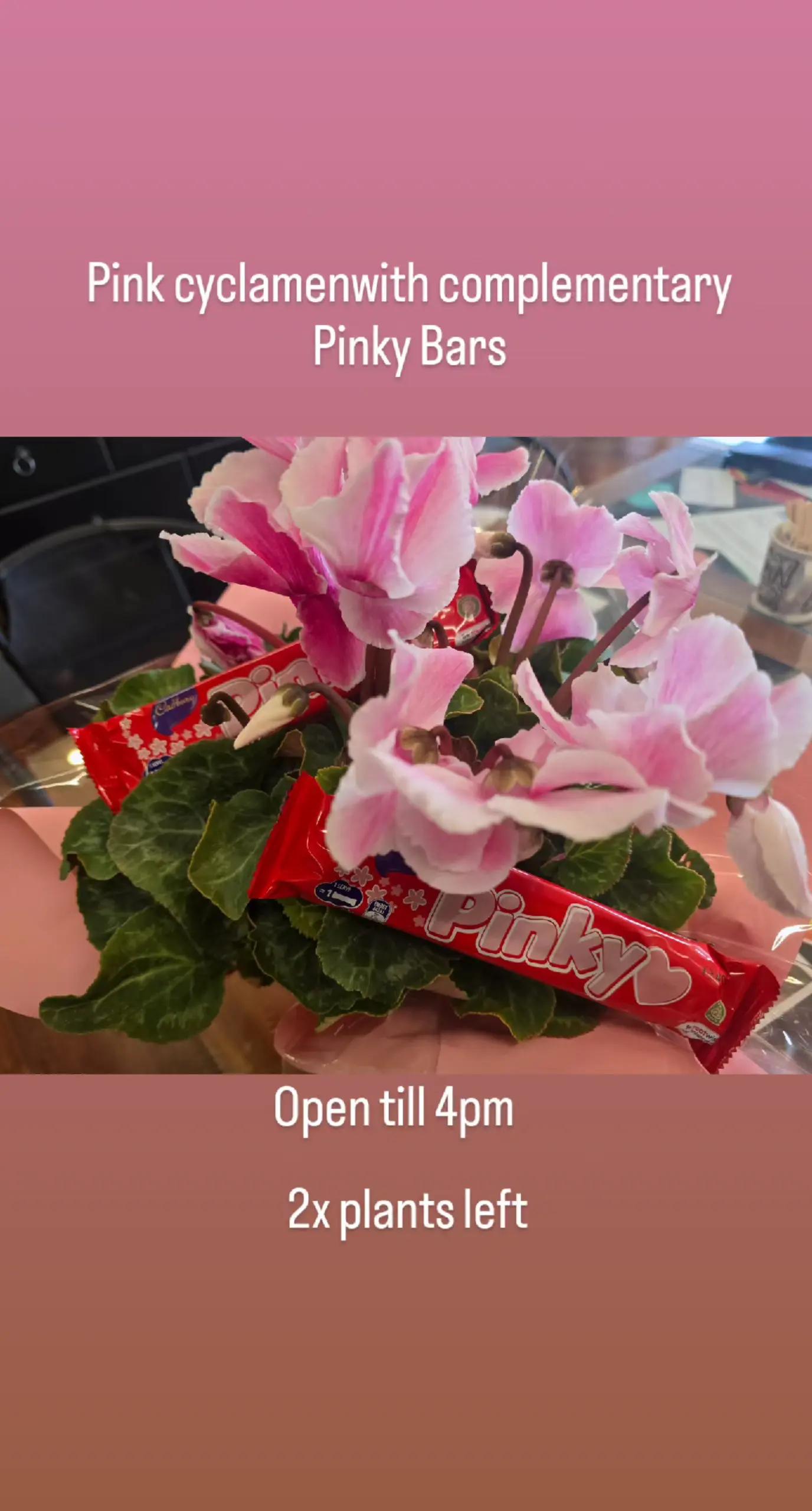 @The Hub Social - Wellington NZ