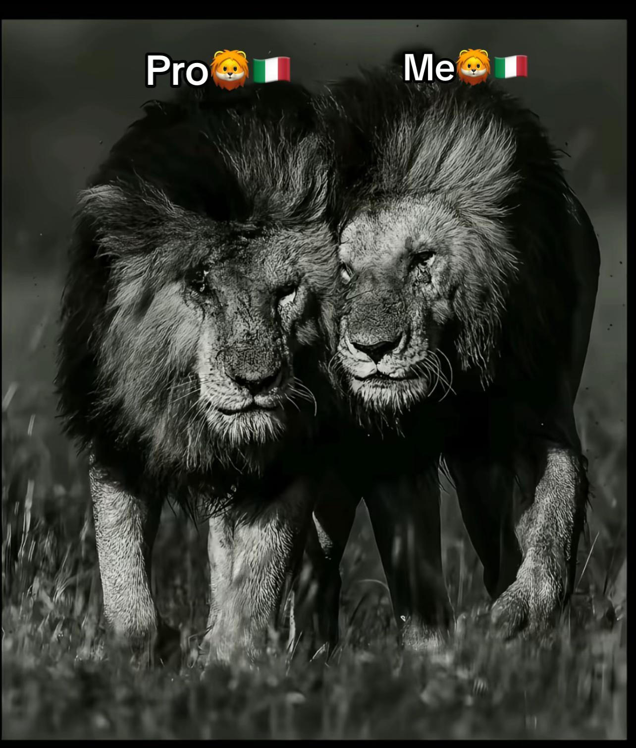 @^MaN-piLLe^🥷💈
