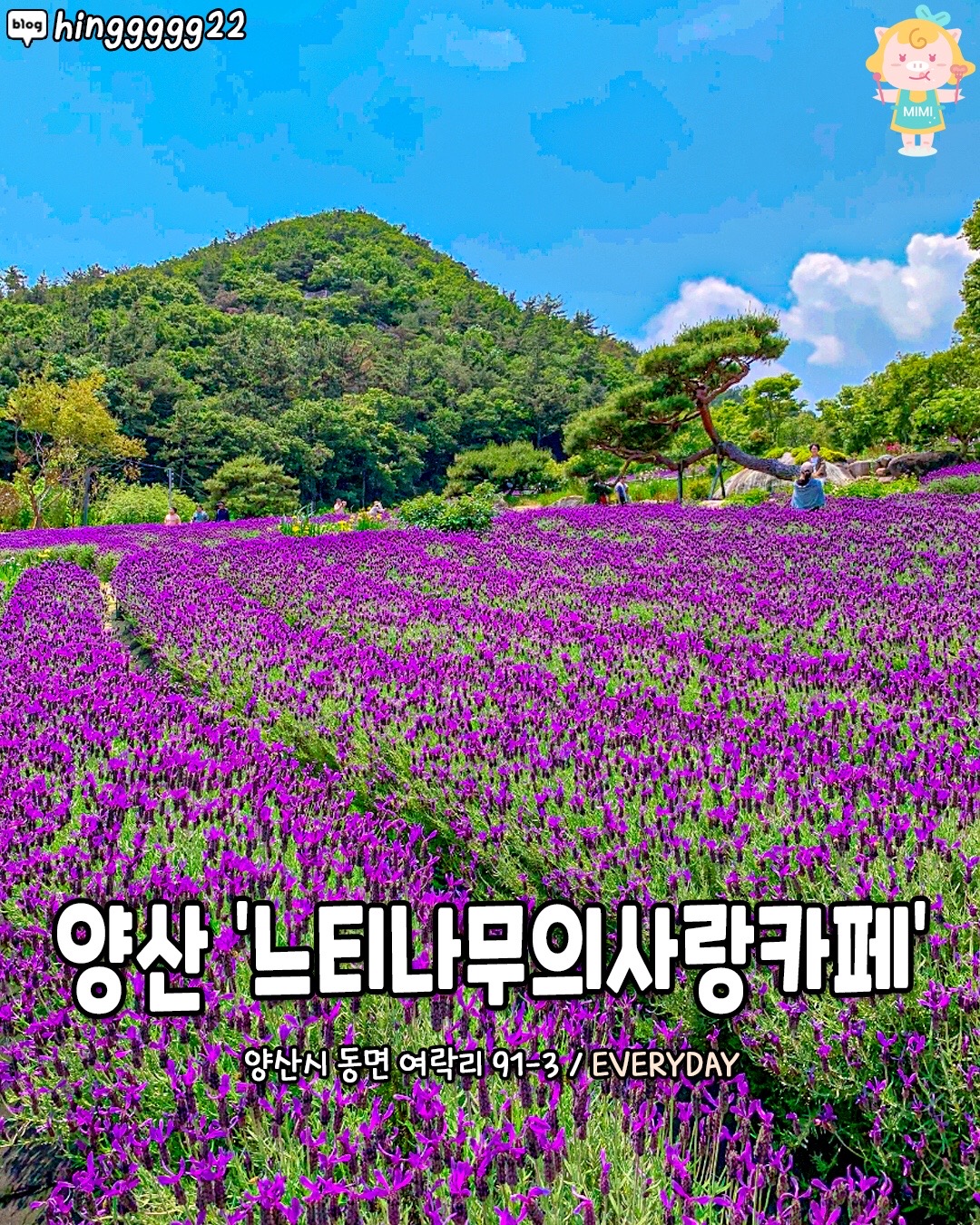 @경상도핫플