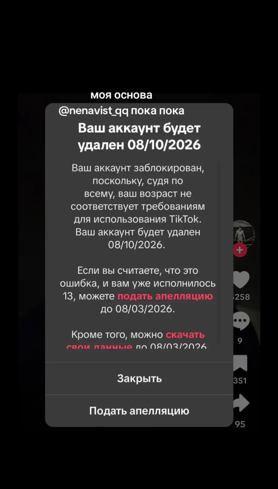 @rassvet