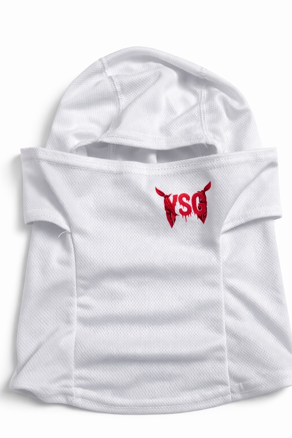 @Ysgisthegoat