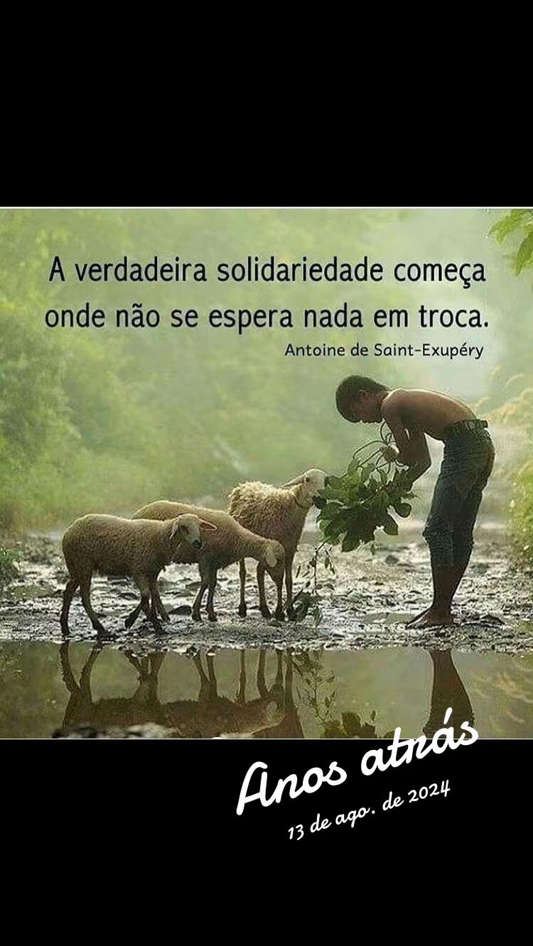 @ronaldo.soufig