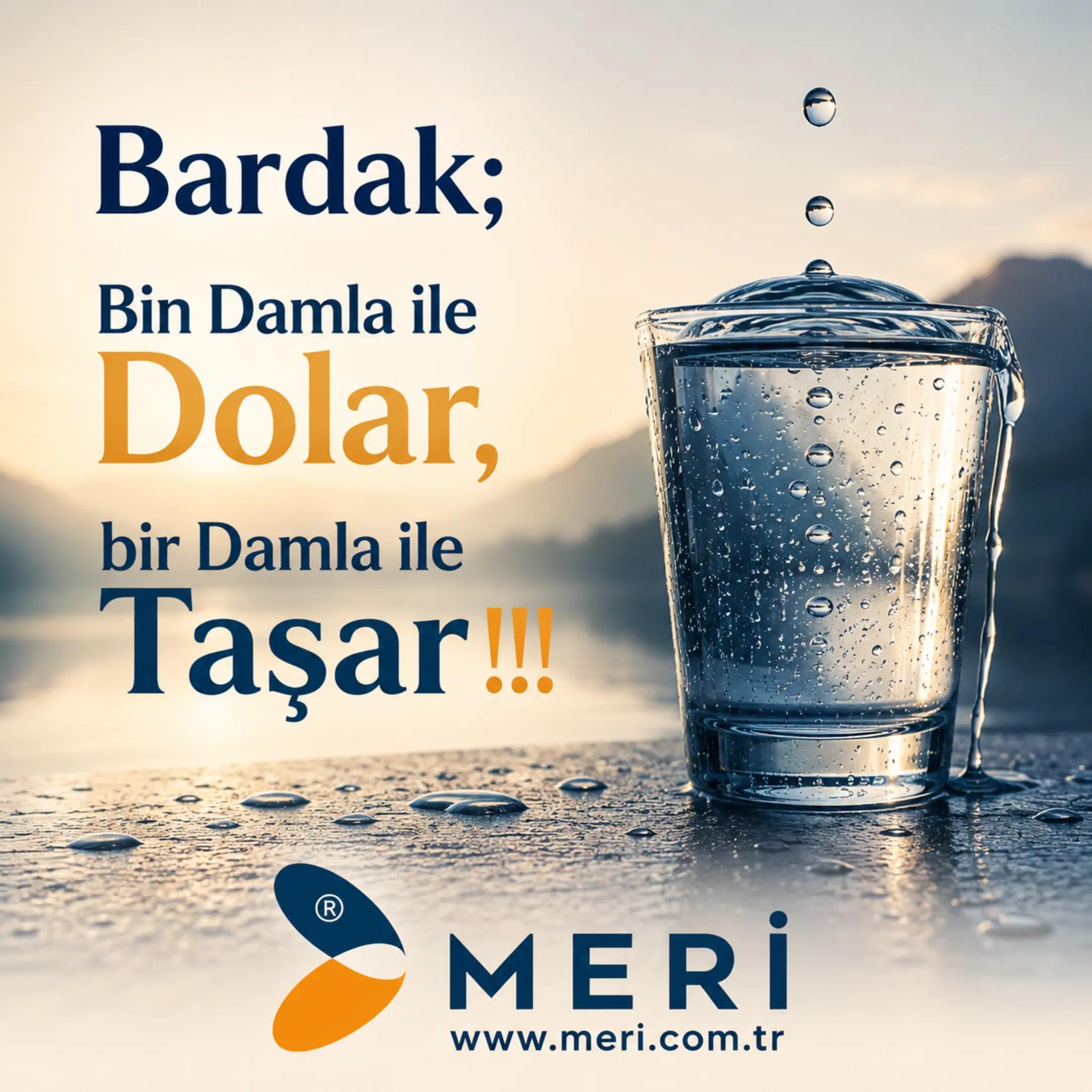 @Meri Sineklik İsmail Kurt