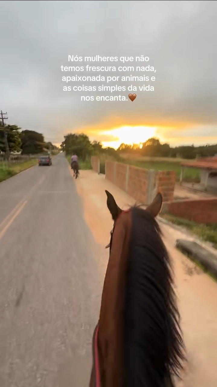 @Sofia Souza