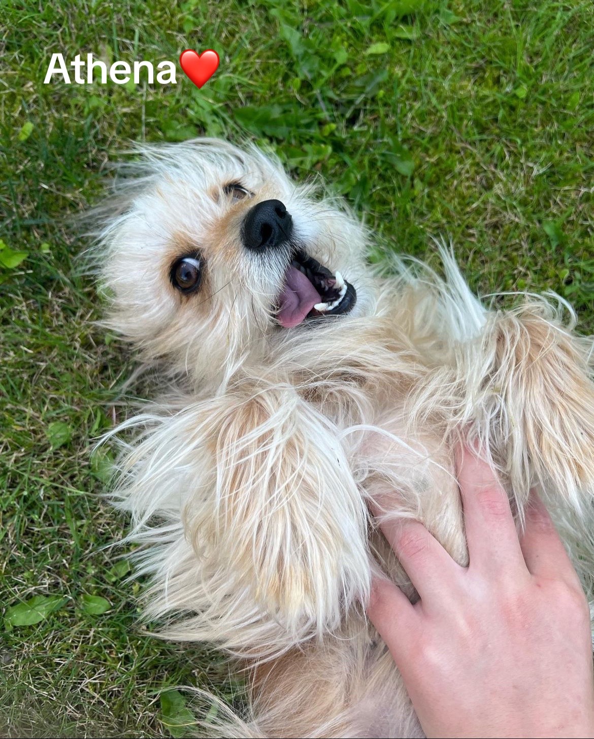 @hemligt