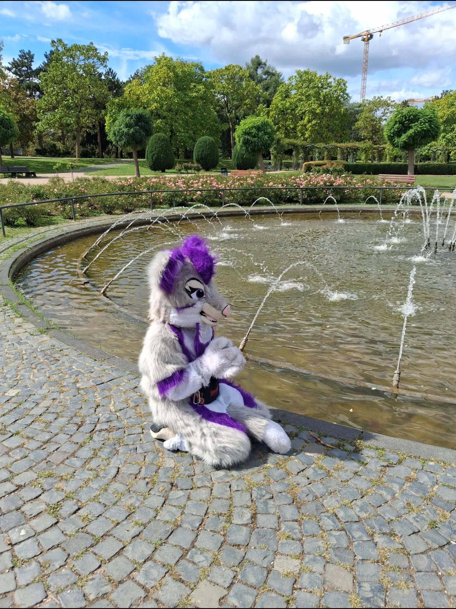 @Stella_and_furry_MFL_