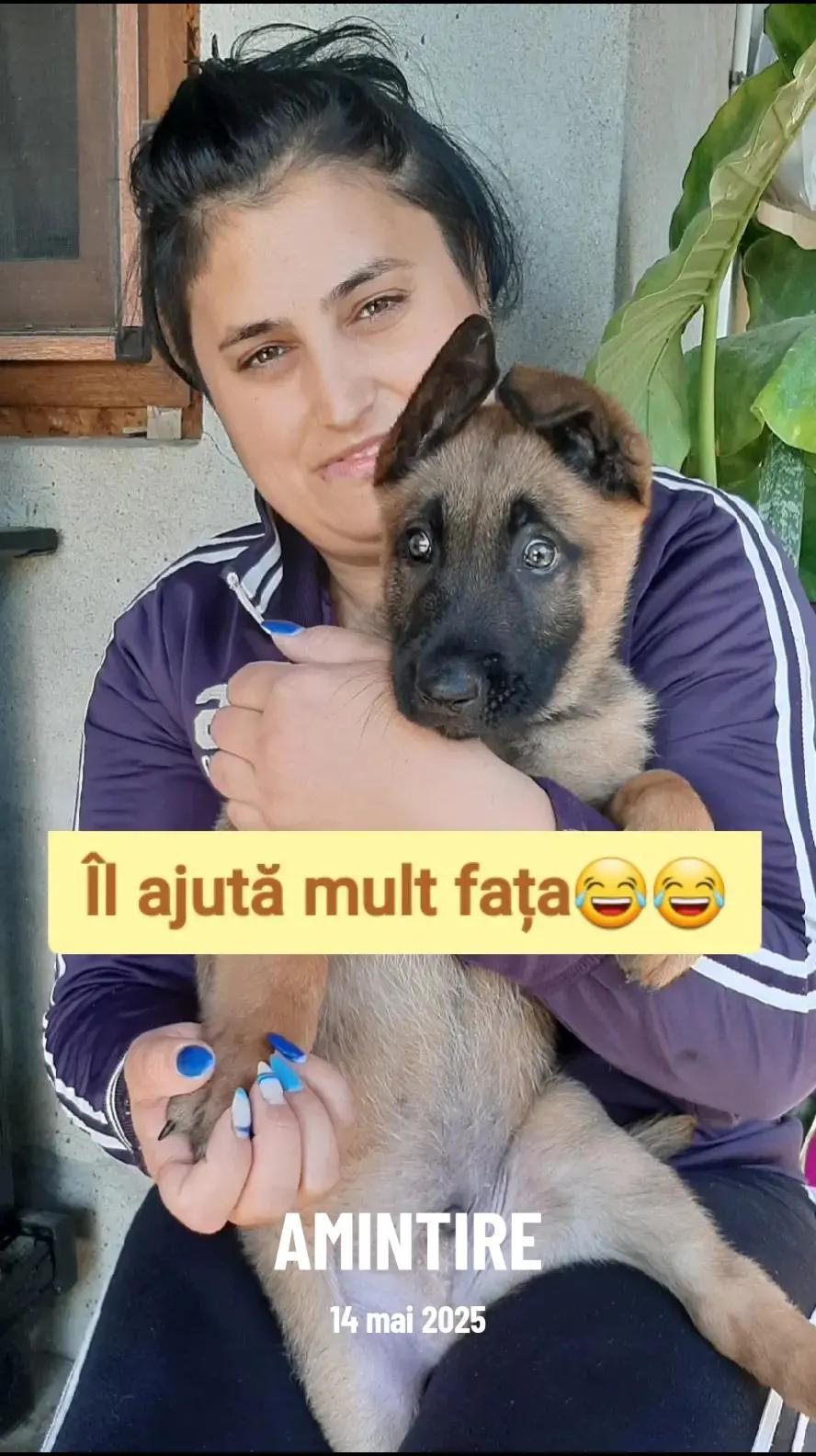 @Stefania