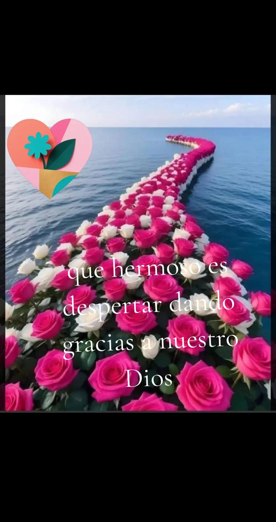 @Mujer virtuosa