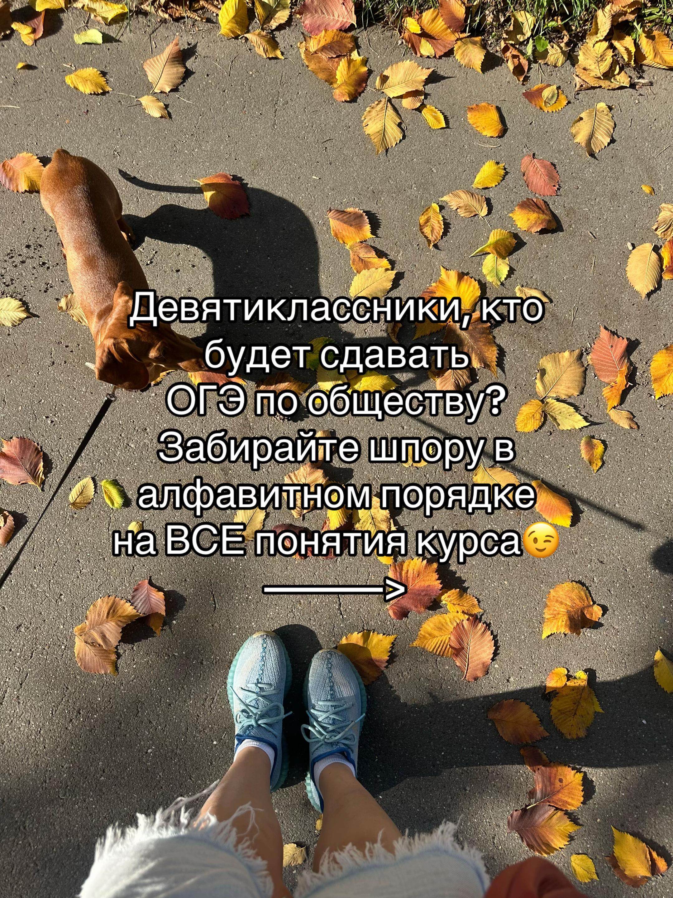 @ОБЩЕСТВОЗНАНИЕ ЕГЭ