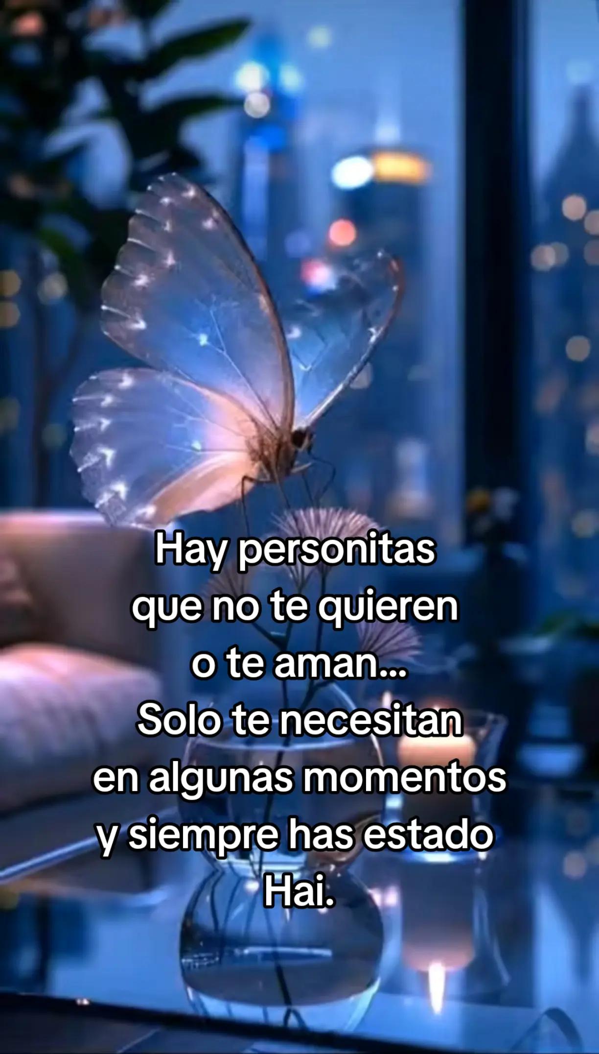 @Rafael V.J.(Lobito)