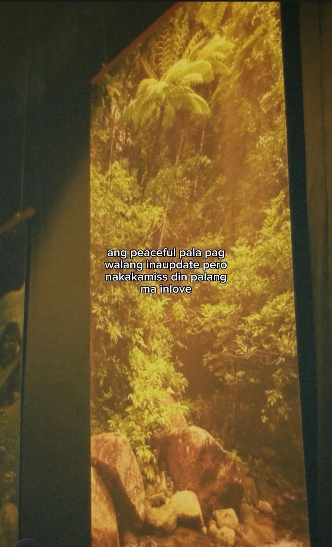 @rei