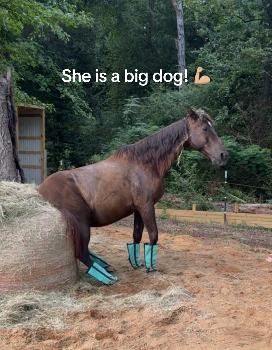 @holly_wood2427