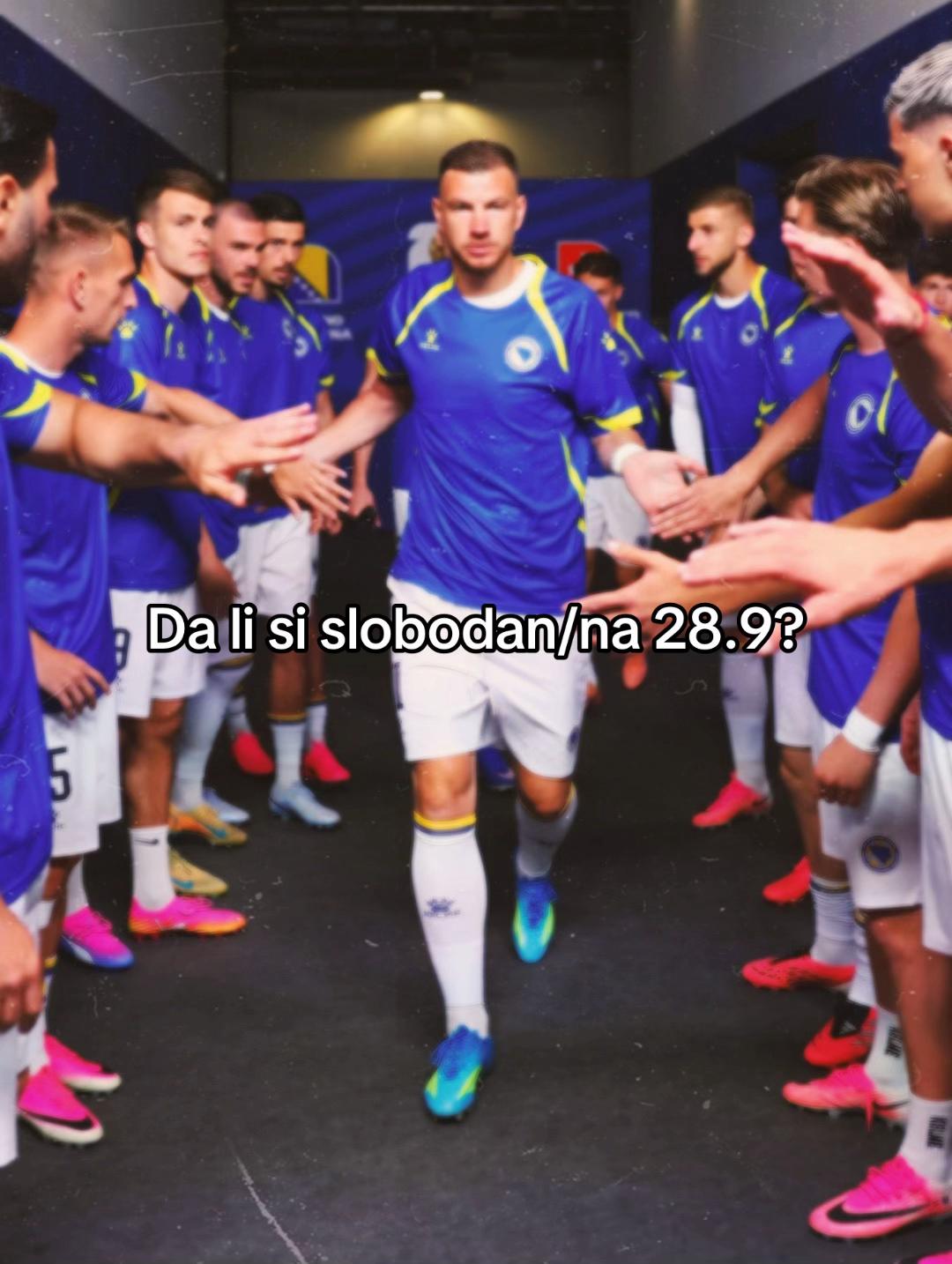 @Reprezentacija BiH
