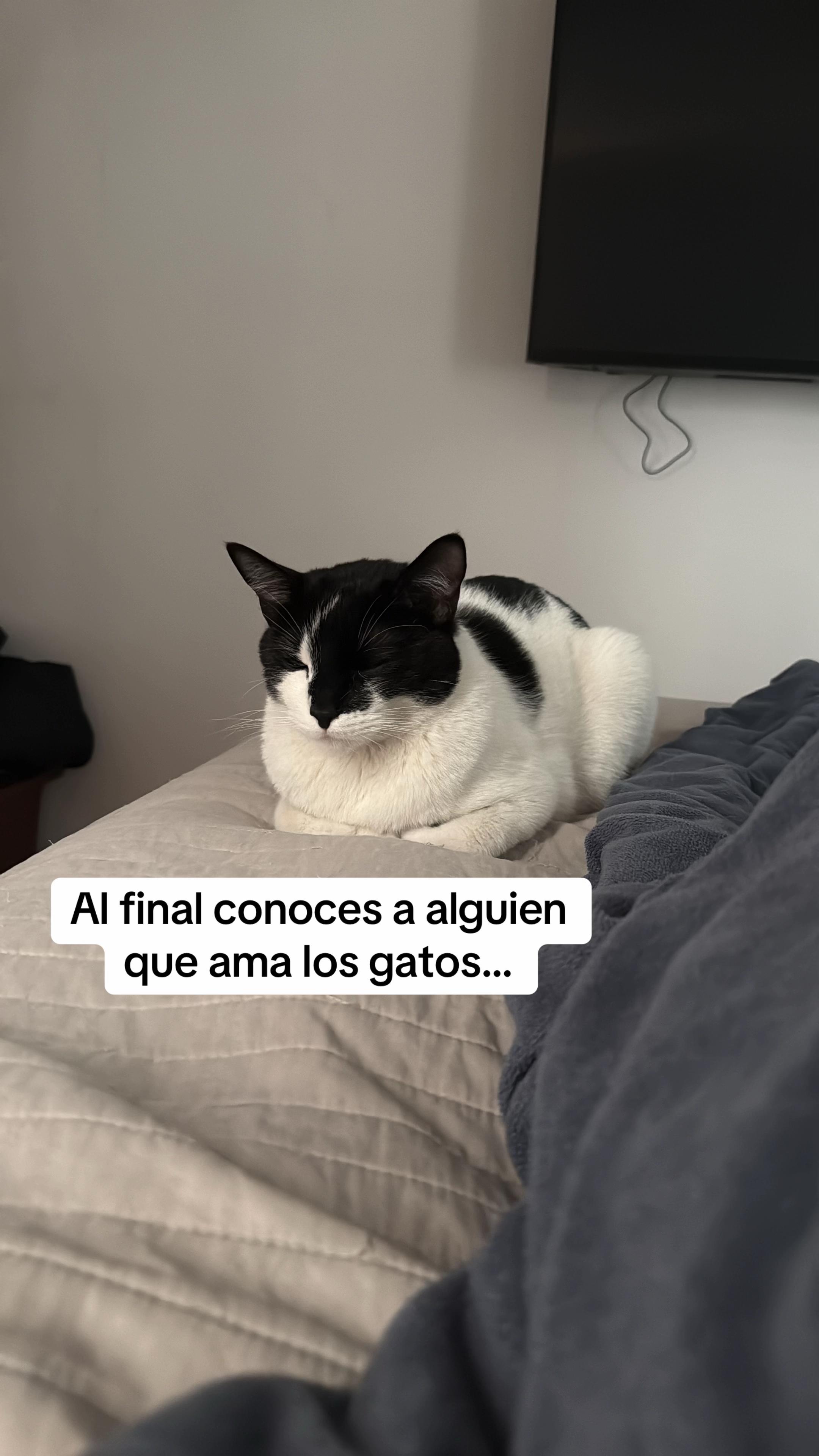 @L A U R A P E Ñ A L O Z A