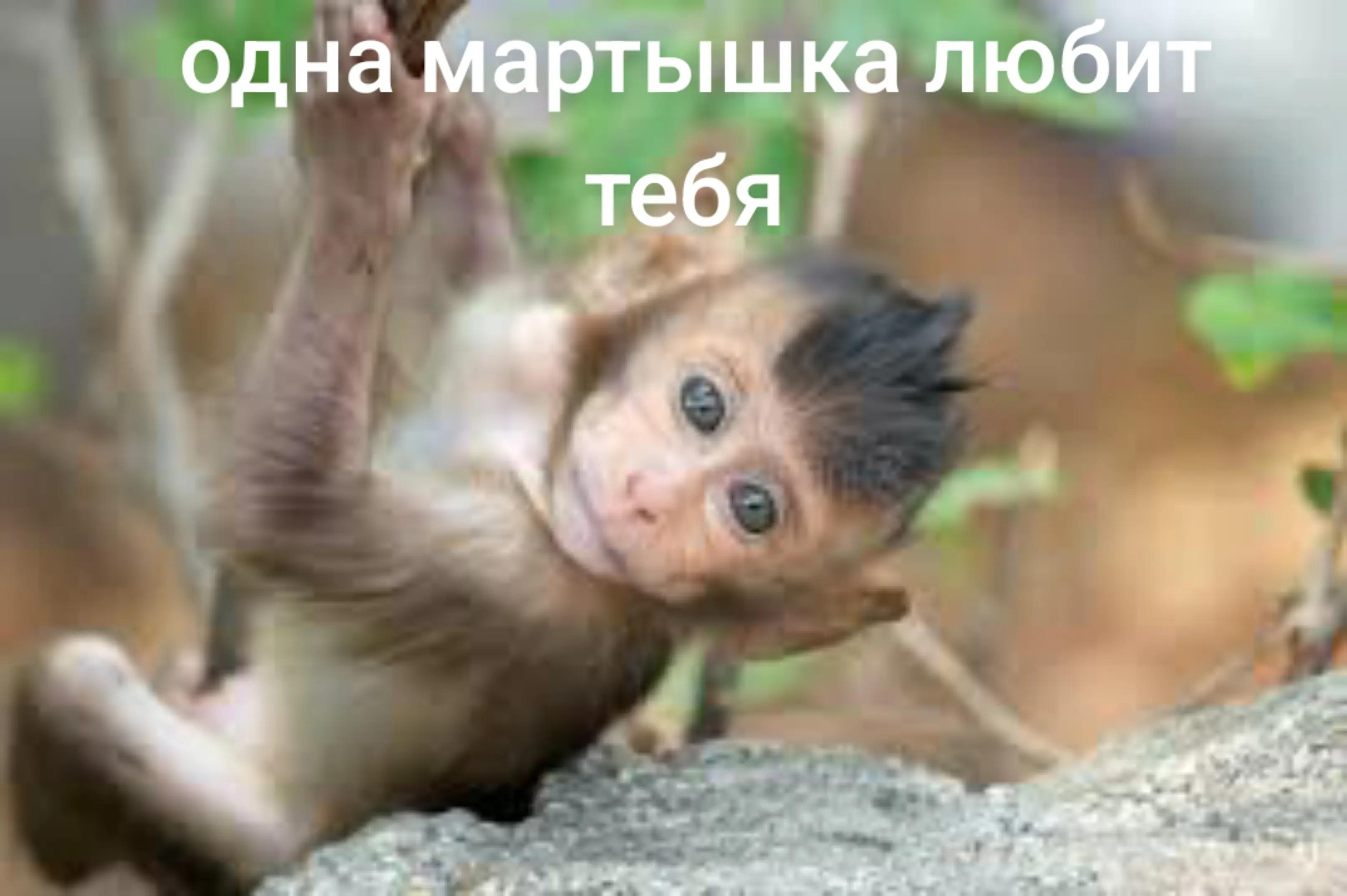 @@Доллар на столе@