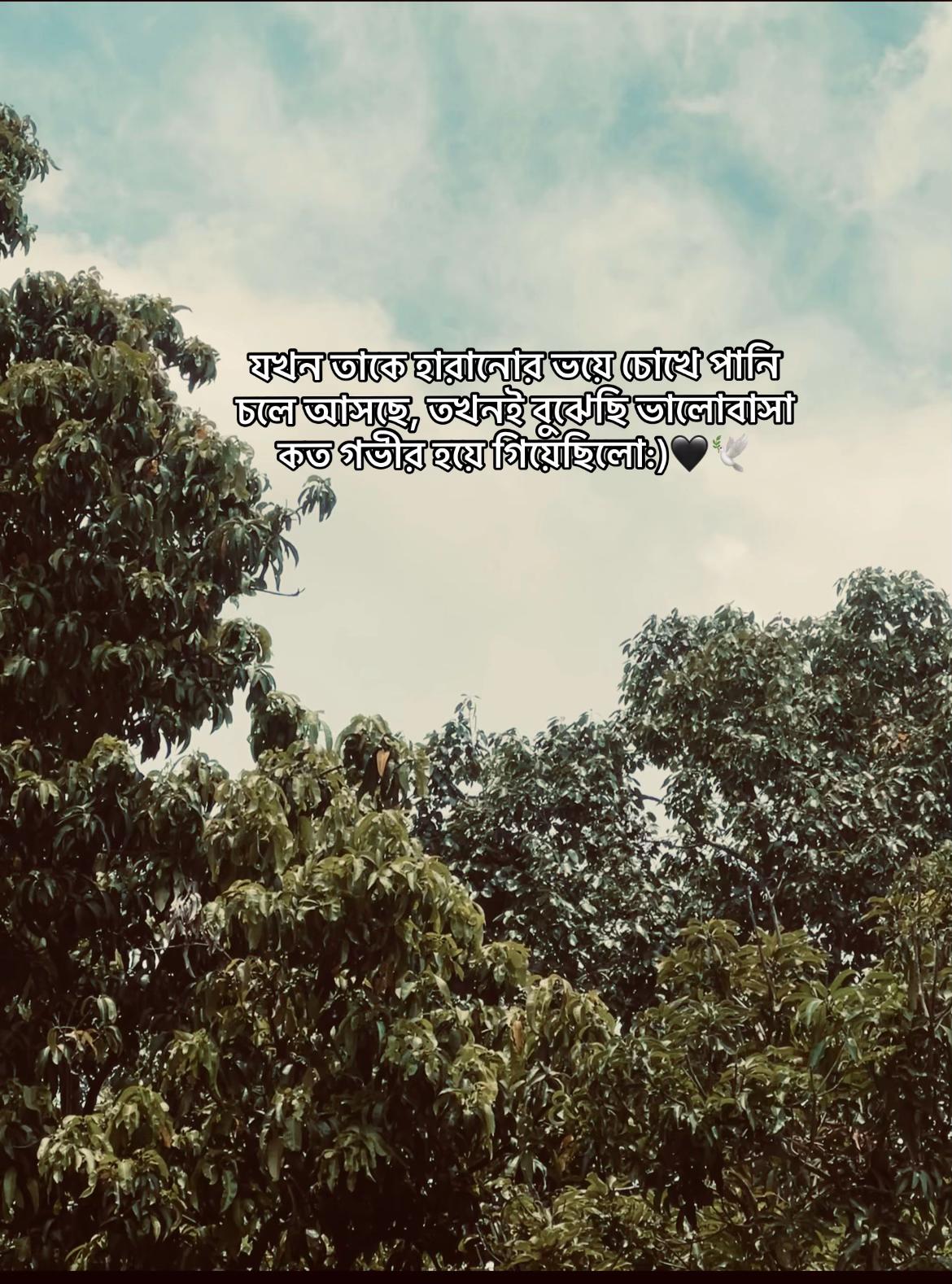 @._𝐌𝐞ꫝ𝐞𝐝𝐢._✨🙋♂️