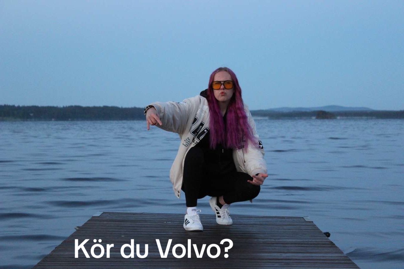 @lovagustafsson