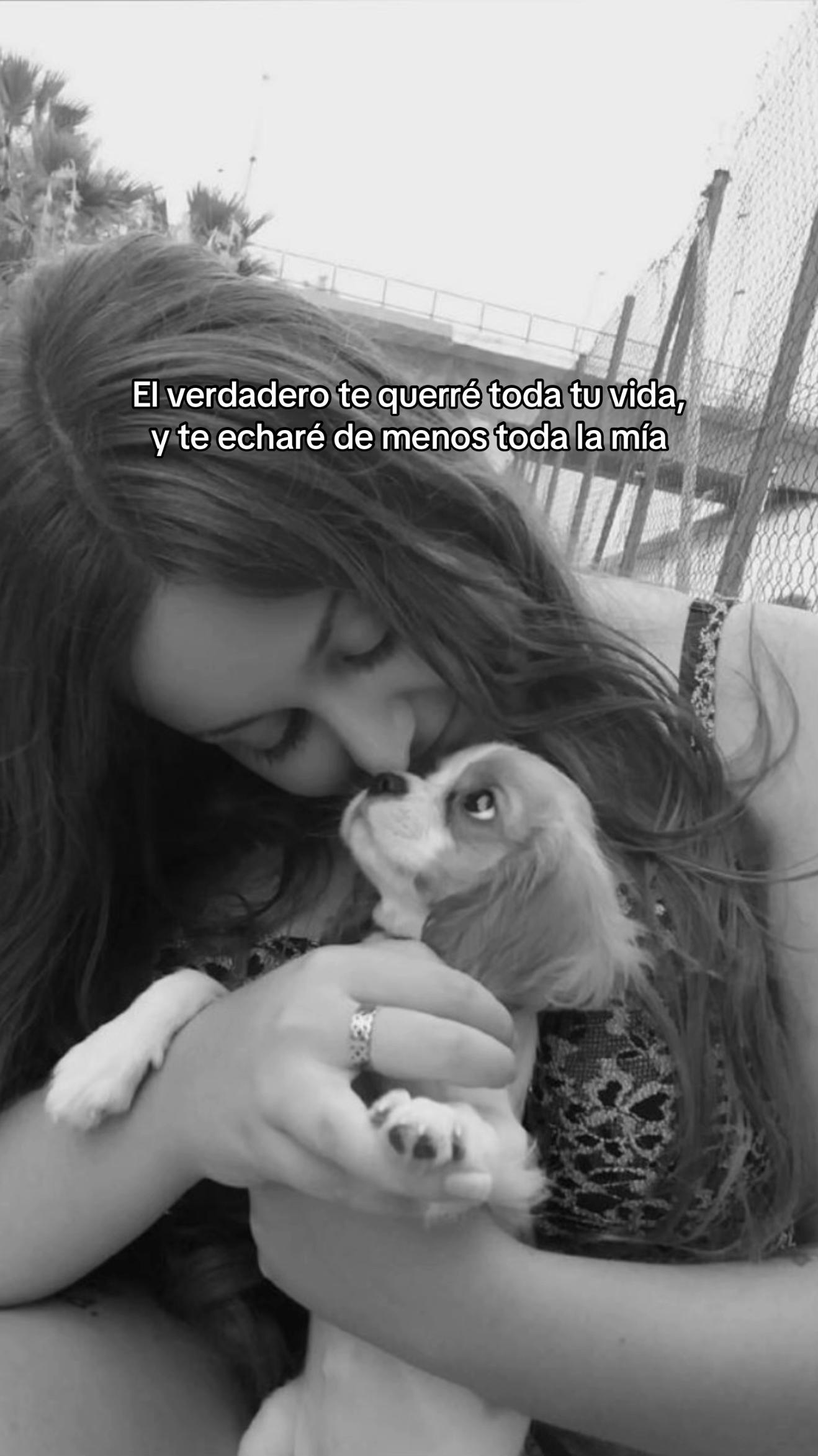@Andrea Alca&ntilde;iz