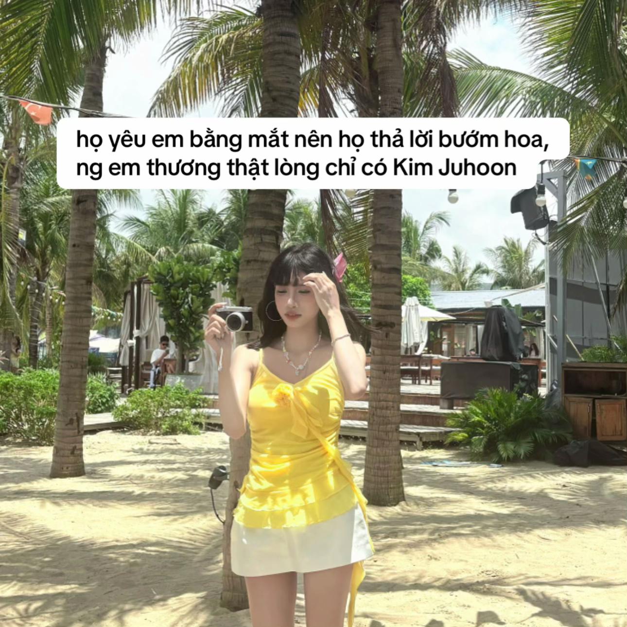 @lexinhne