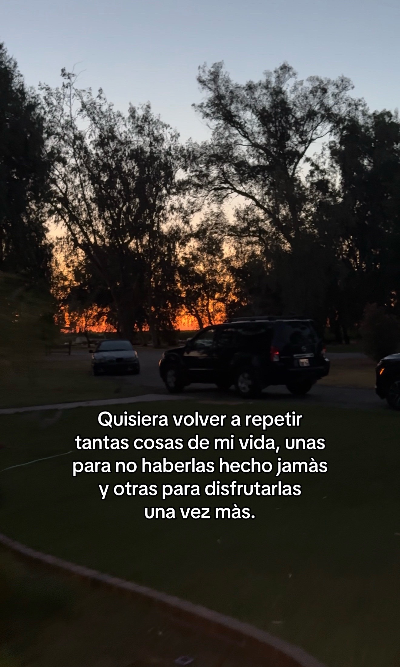 @Reyna Salazar