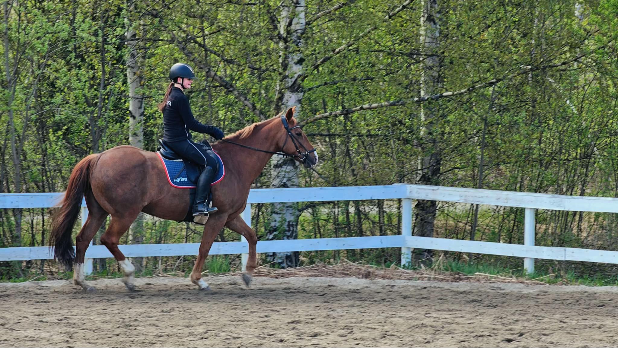 @kerstin🐴