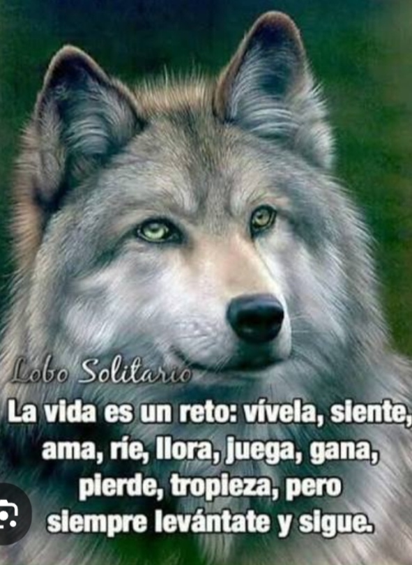 @tomito